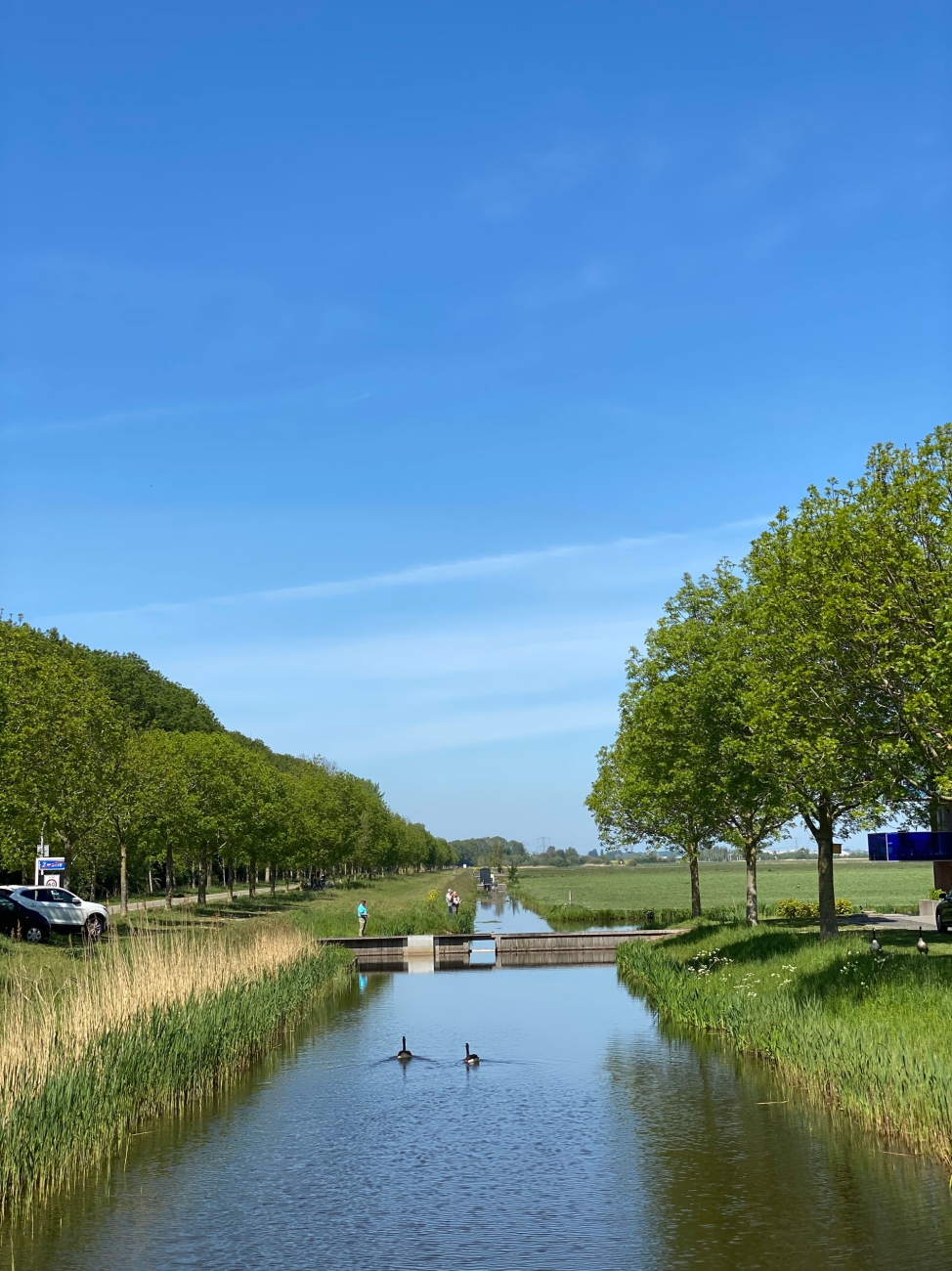 Bruggetje Goudplevierstraat