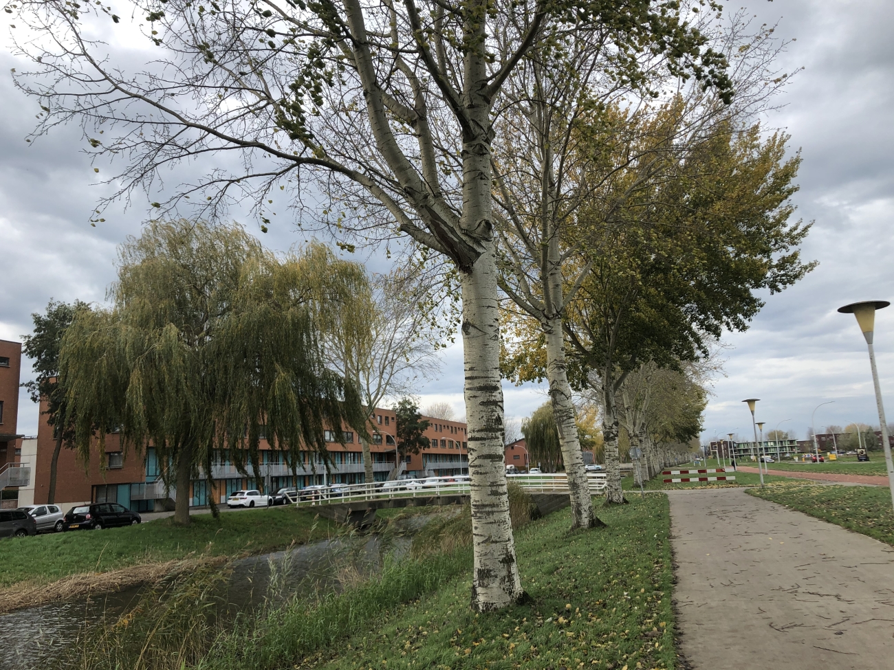 Alles een beetje scheef