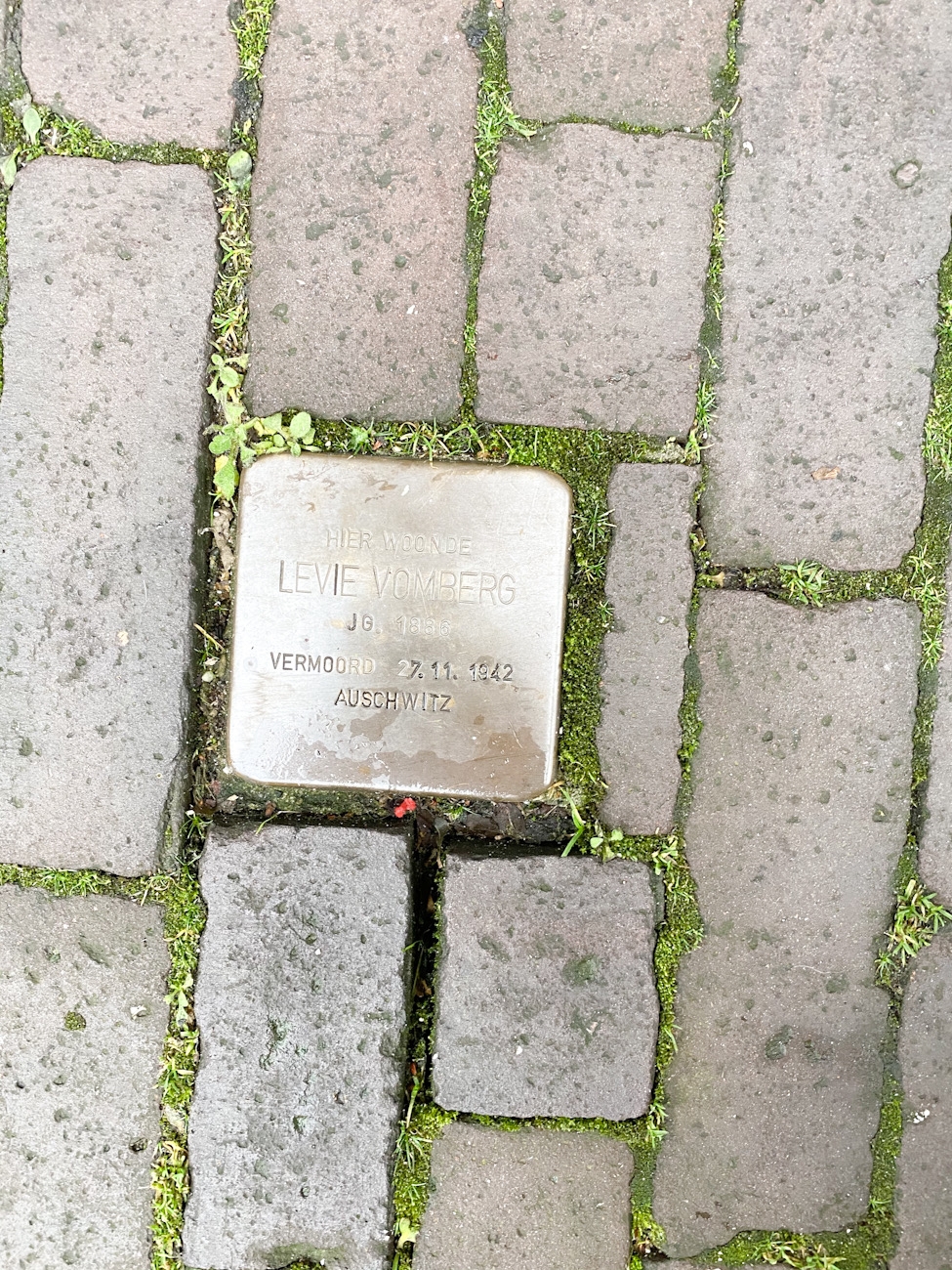Levie Vomberg