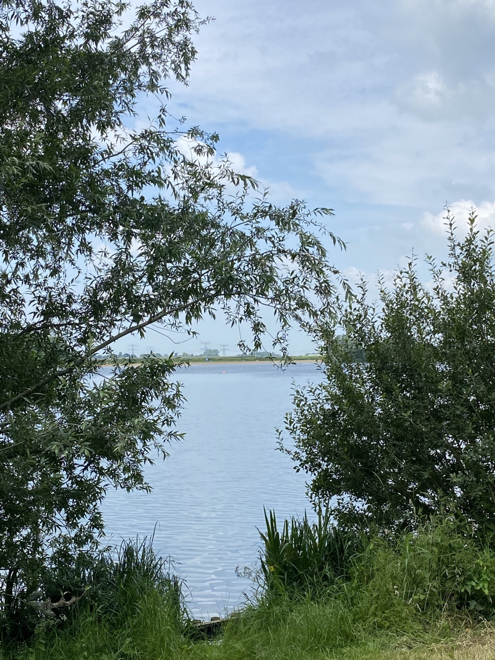 Doorkijkje Milligerplas Stadshagen