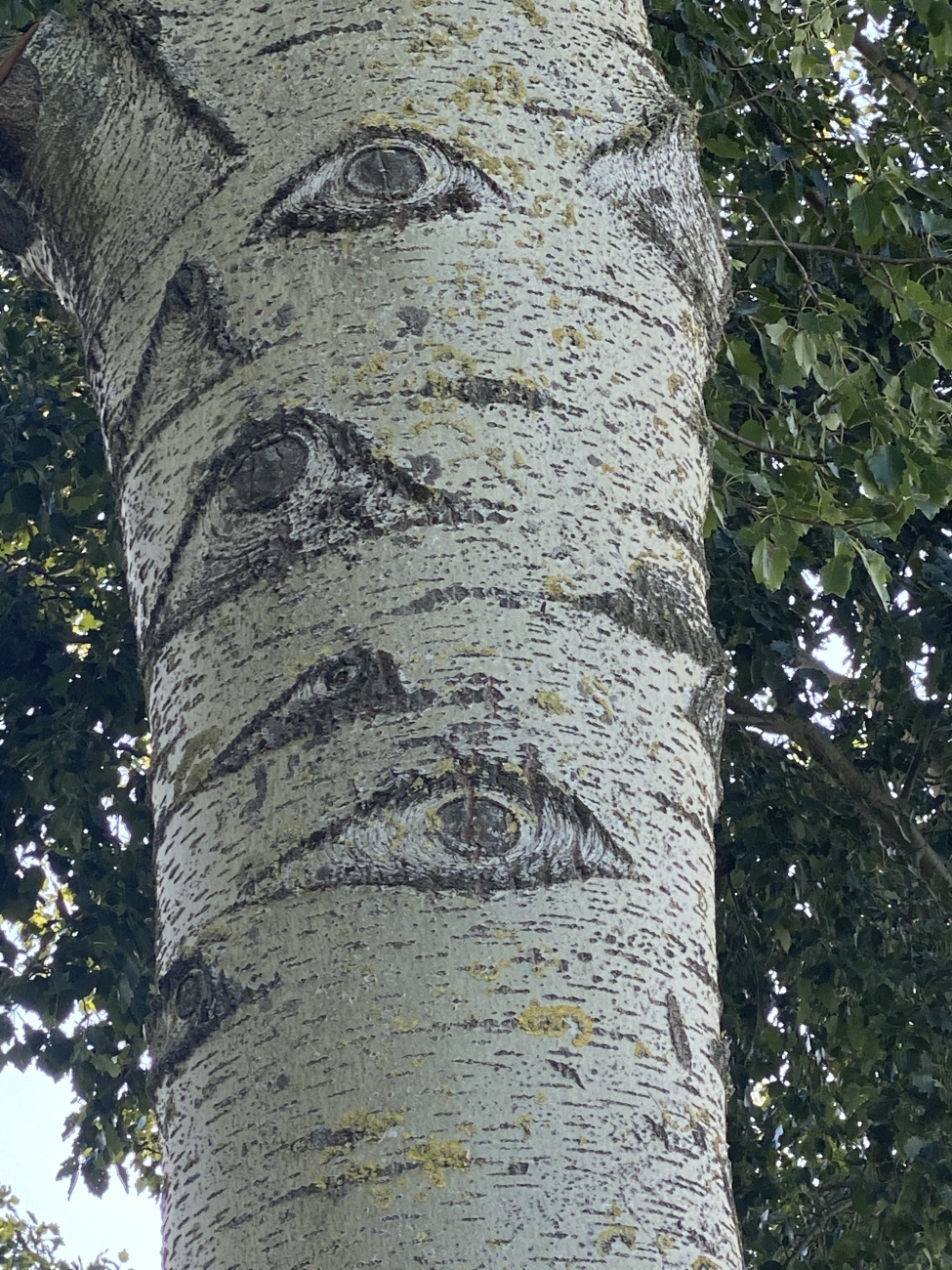 Egyptische Ogen in Stadshagen