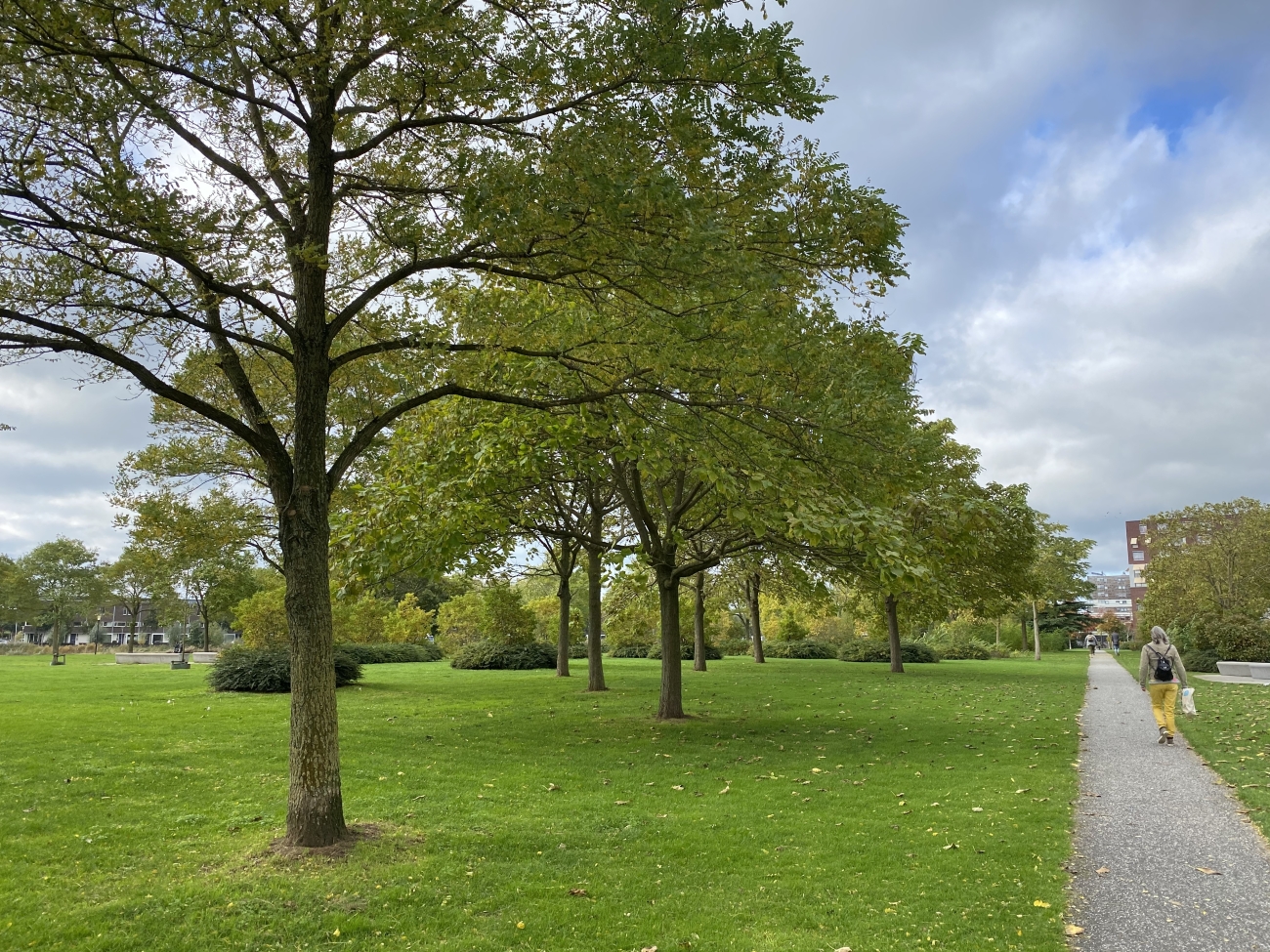 De herfst op het punt van beginnen