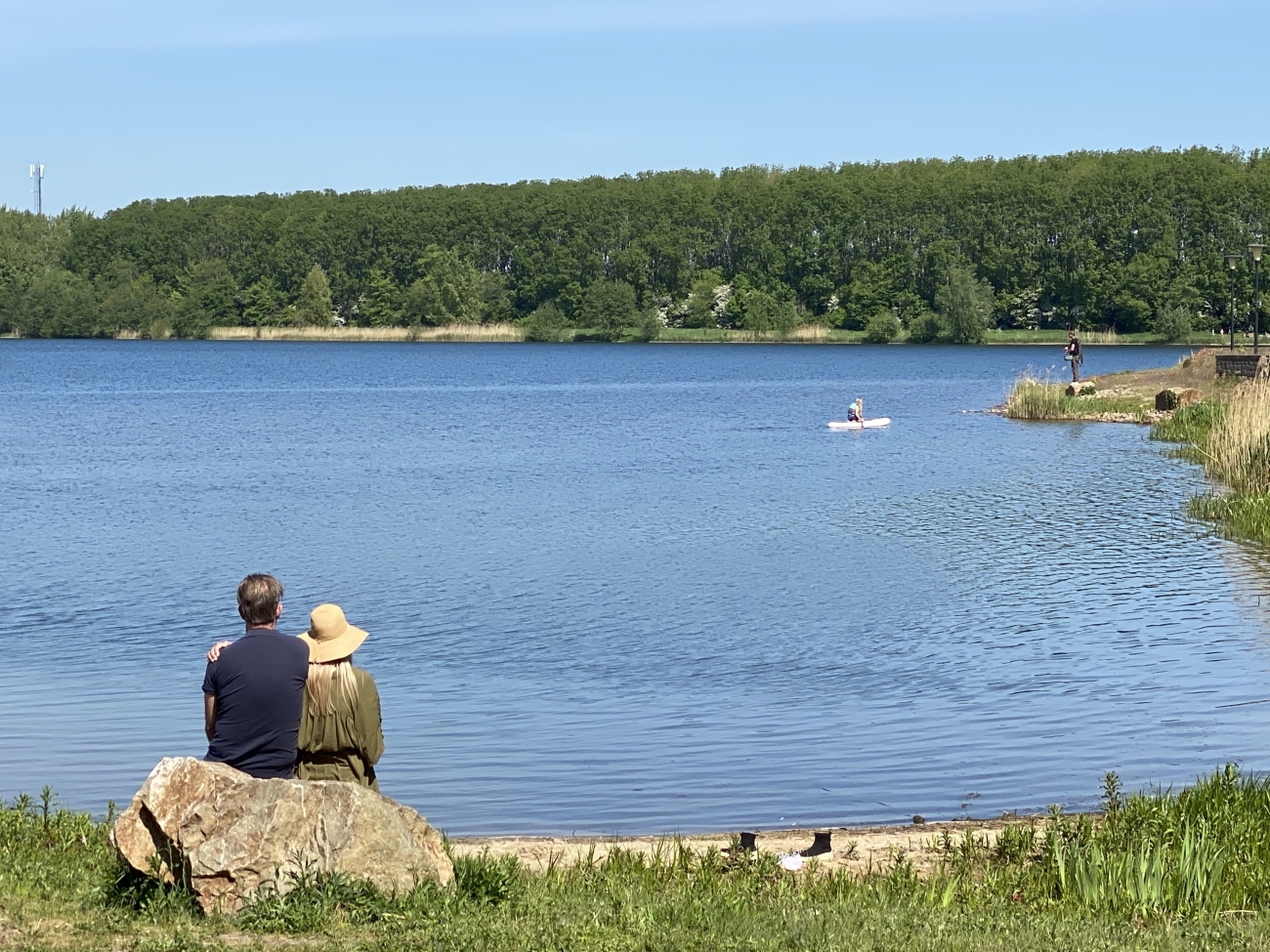 Staren over het water Milligerplas
