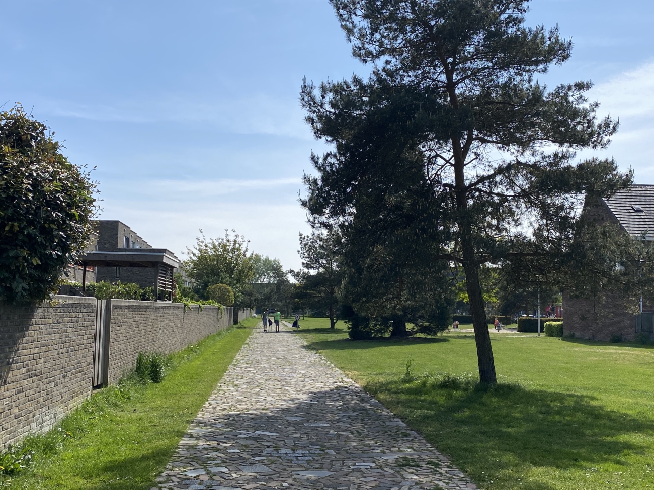 Waterbies Stadshagen