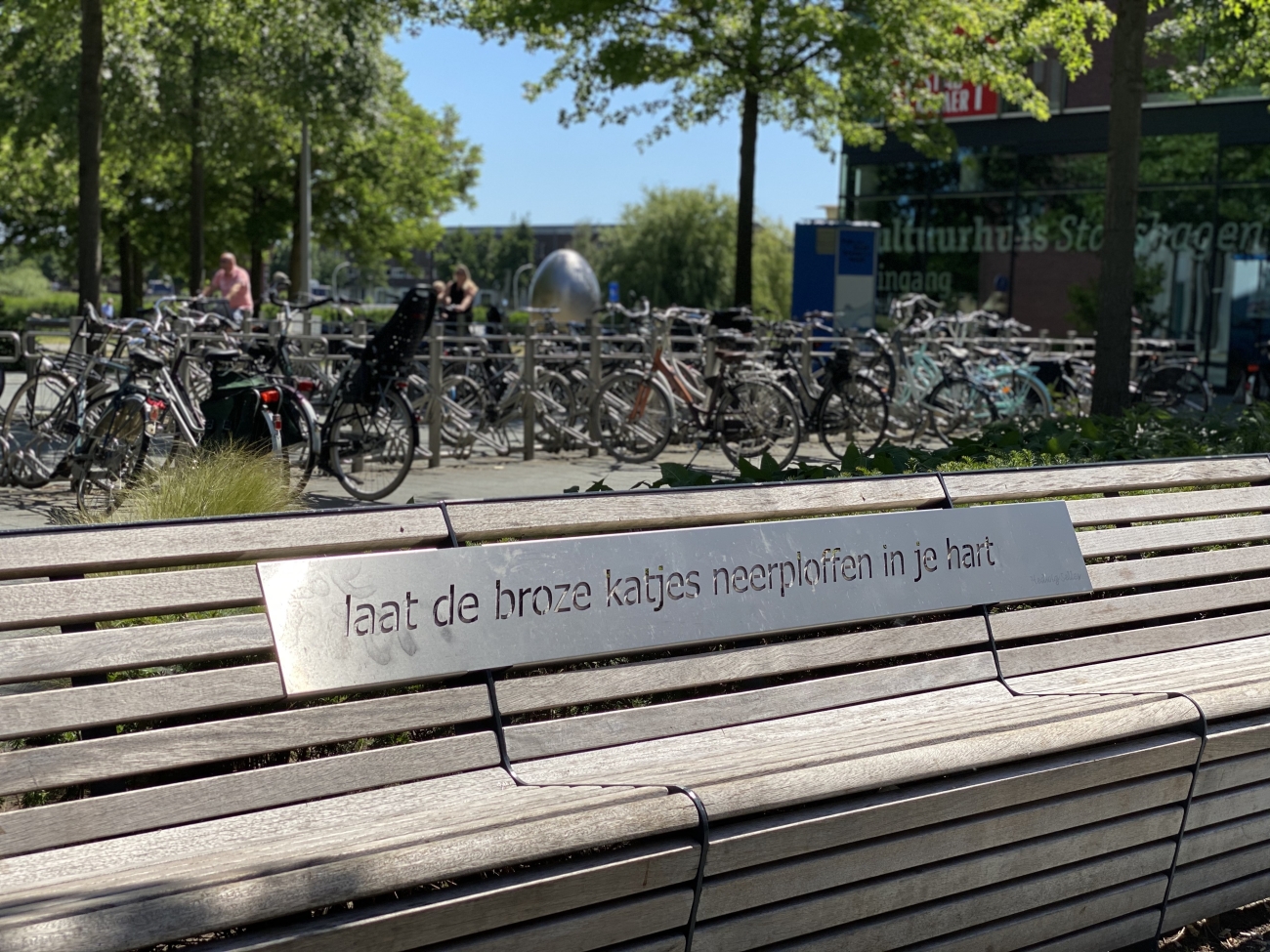 Laat de broze katjes neerploffen in je hart