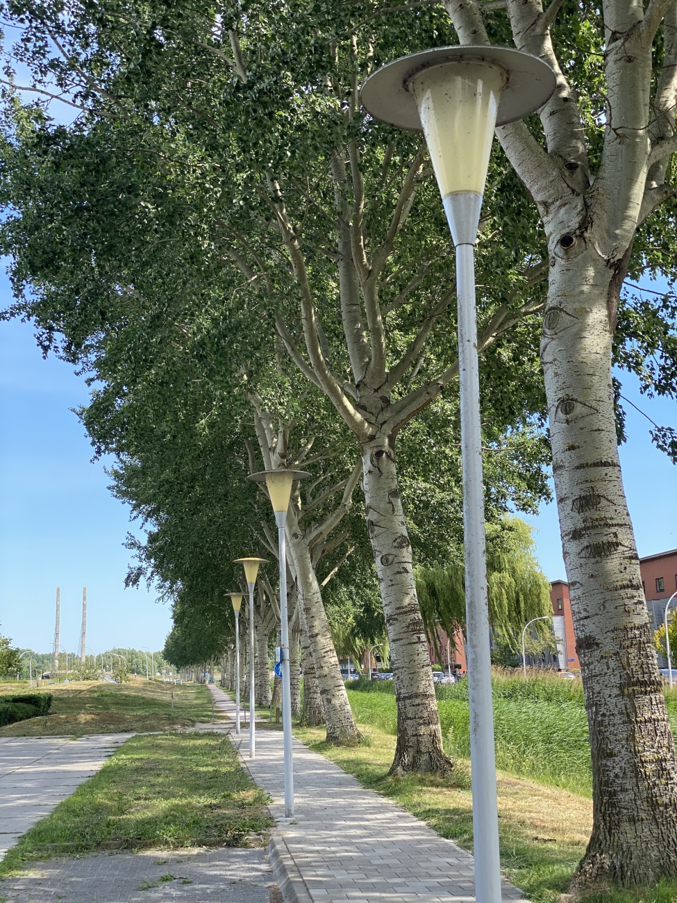 Recht zo die gaat in Stadshagen