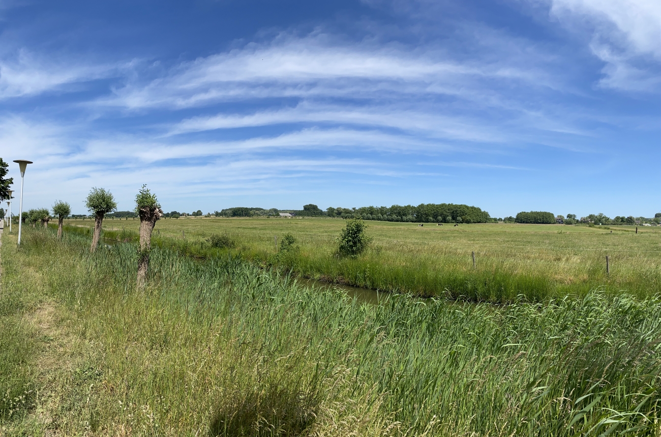 Hemel en Aarde in Stadshagen