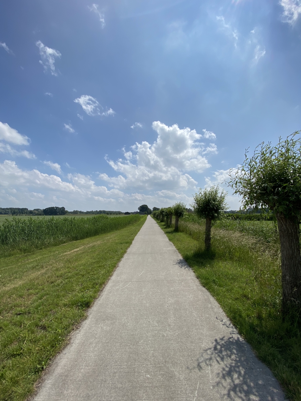 Symmetrisch Stadshagen