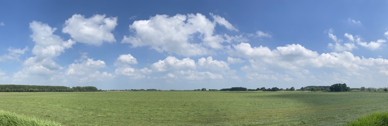 Wijd wijder wijds Stadshagen