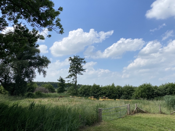 Bij, verder bij Stadshagen