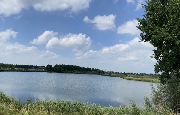 Stadskolk Stadshagen