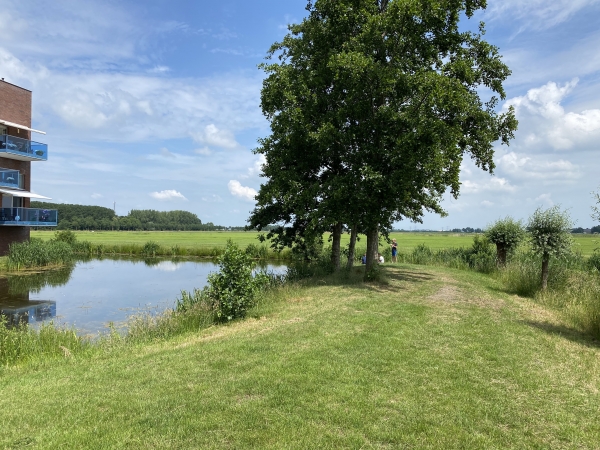 Buitenspelen in Stadshagen