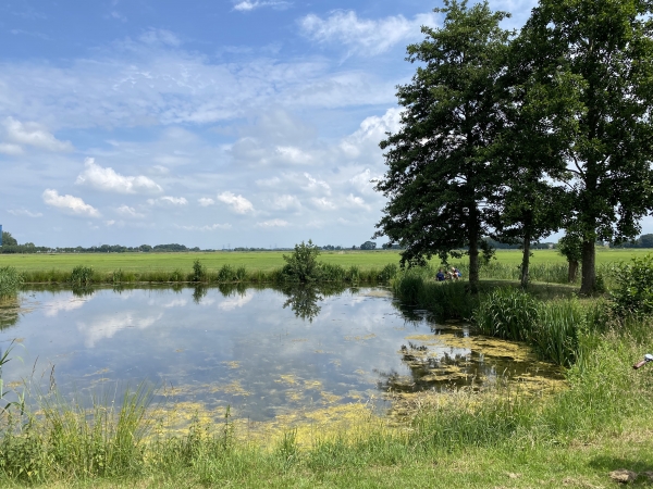 Verstild water in Stadshagen
