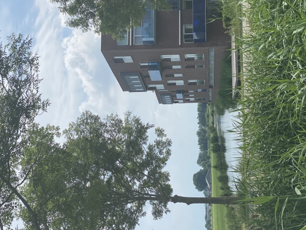 Wonen en stilte in Stadshagen