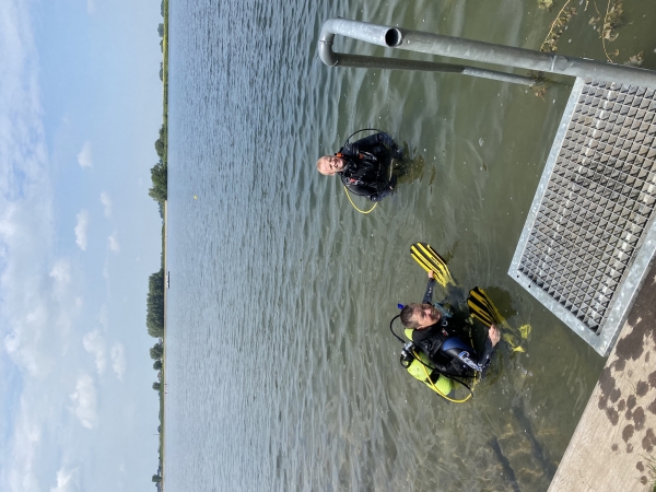 Duikclub de Tuimelaars in Stadshagen