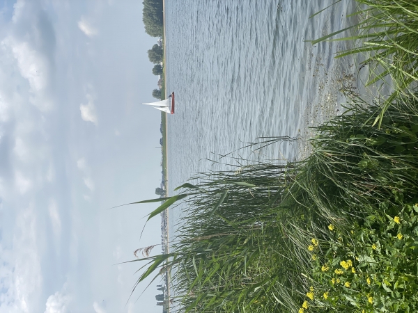 Aan de wind in Stadshagen
