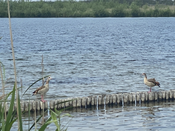 Nader tot elkaar in Stadshagen