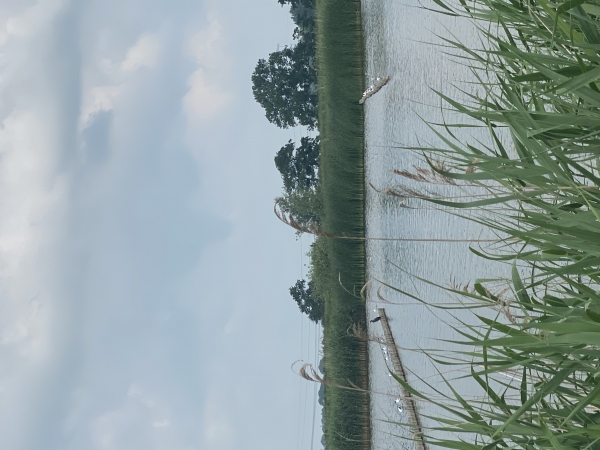 Met zijn allen in Stadshagen