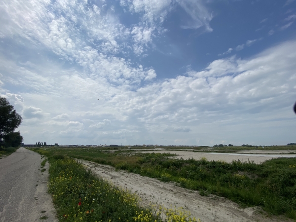 Nieuw wonen in Stadshagen