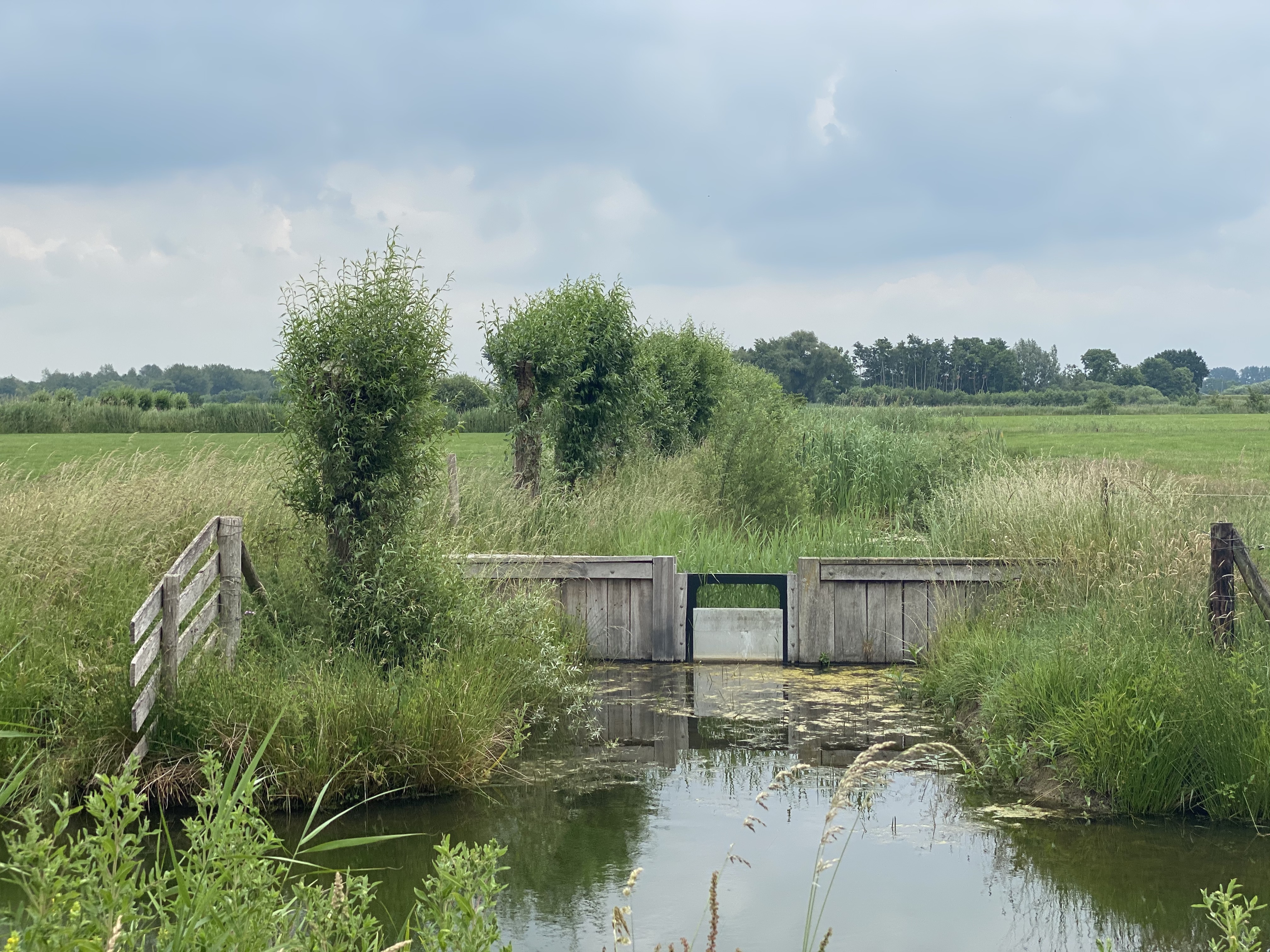 Waterkering Stadshagen