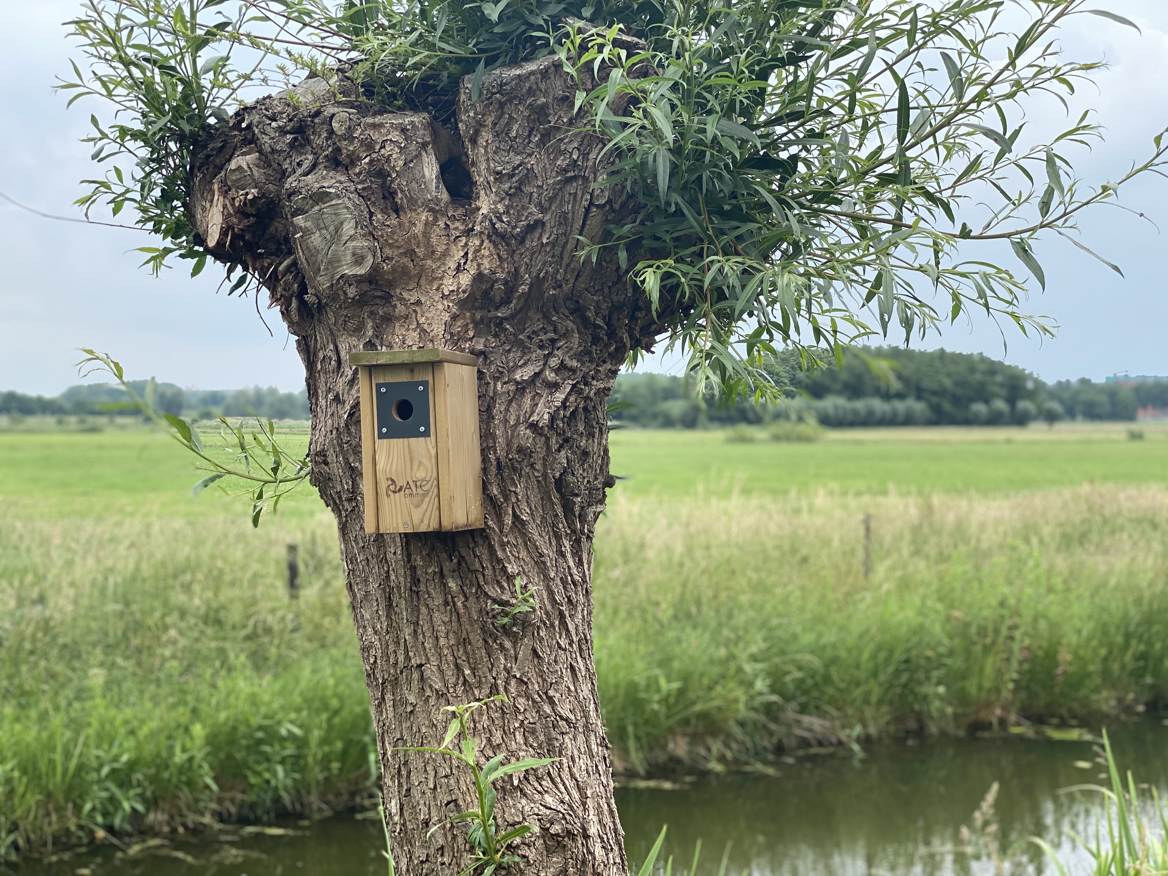 Hebban Vogelas Nestas..Stadshagen