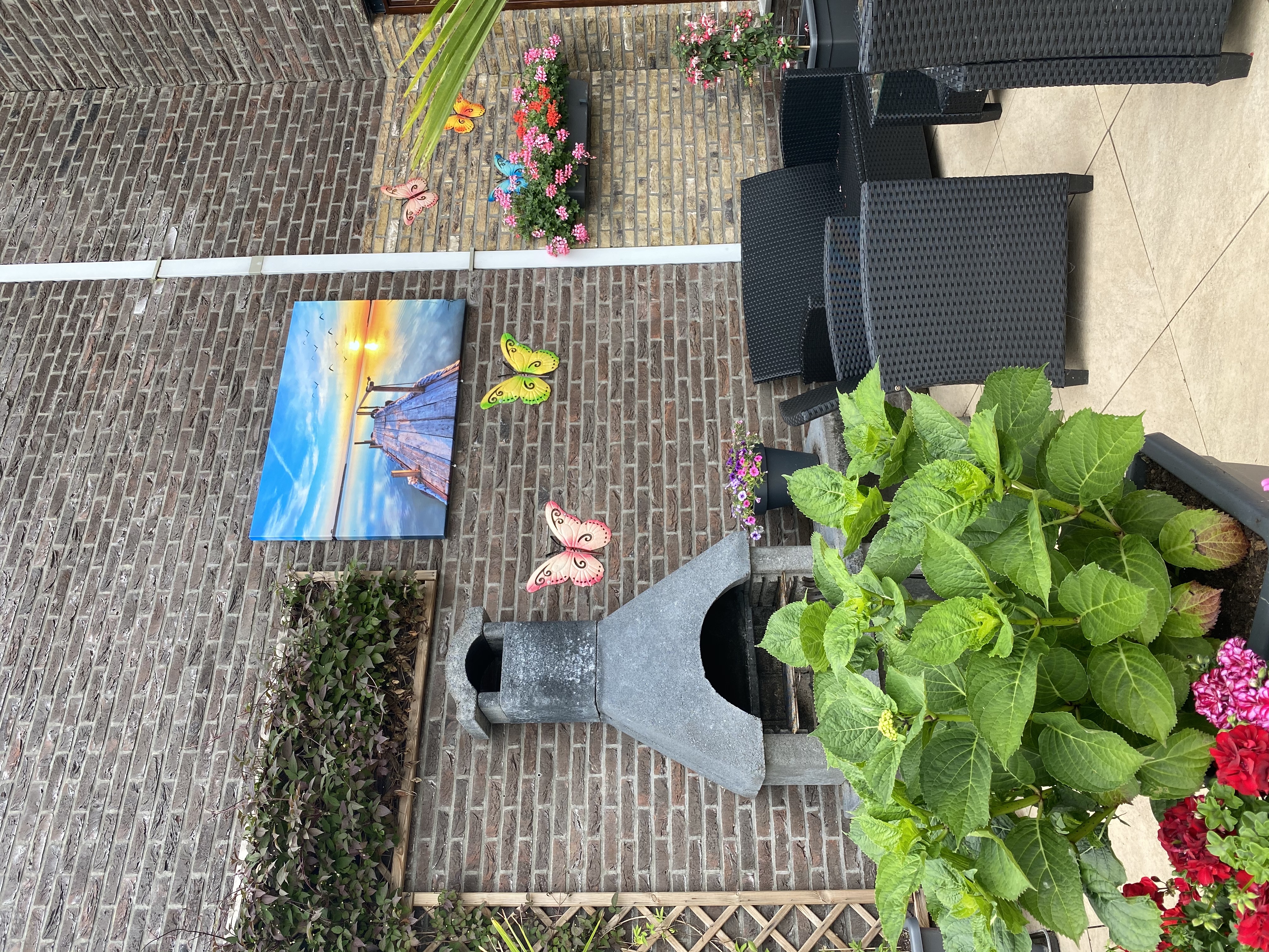 Vlinders in Stadshagen