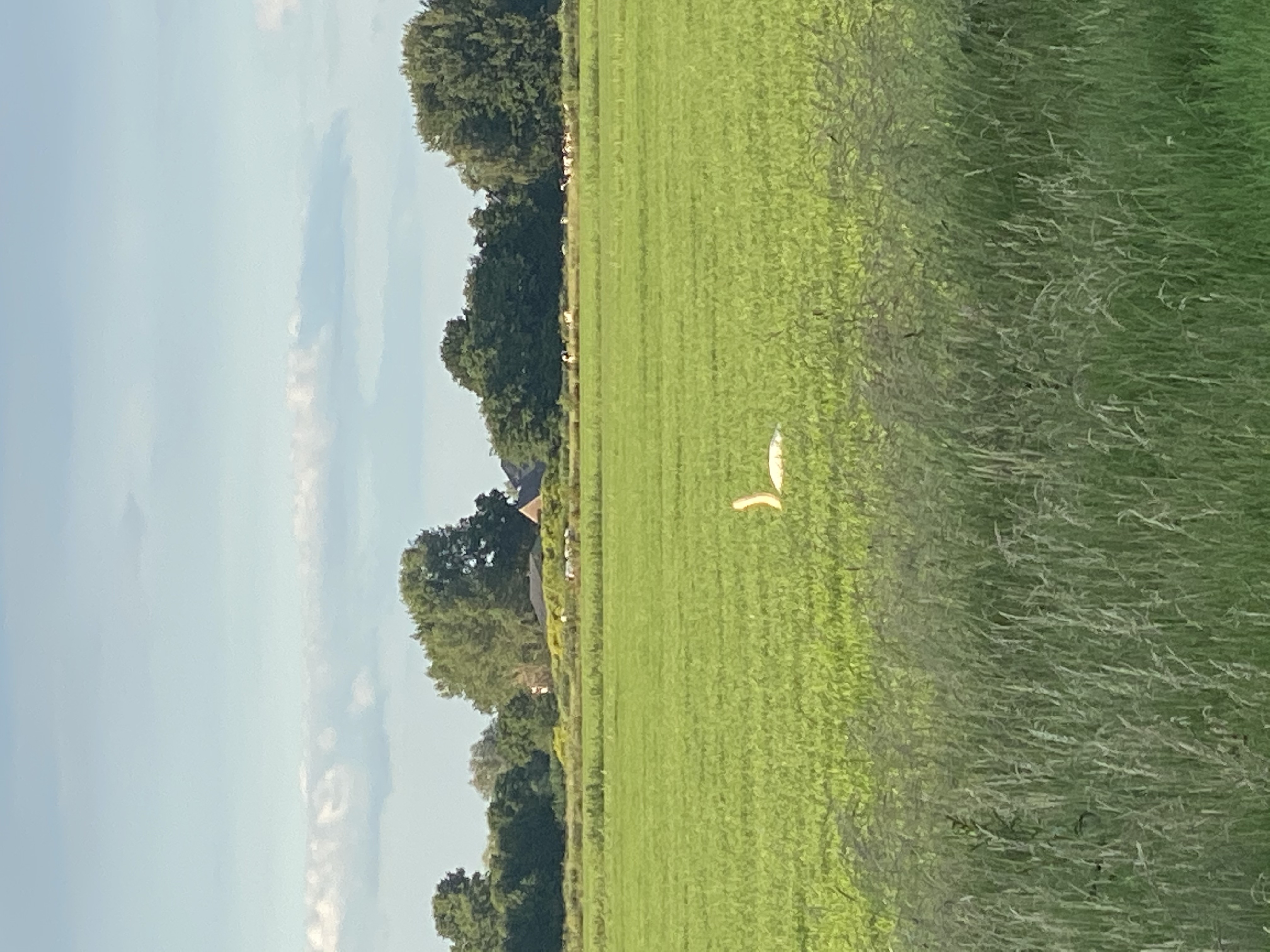 Undercover in Stadshagen