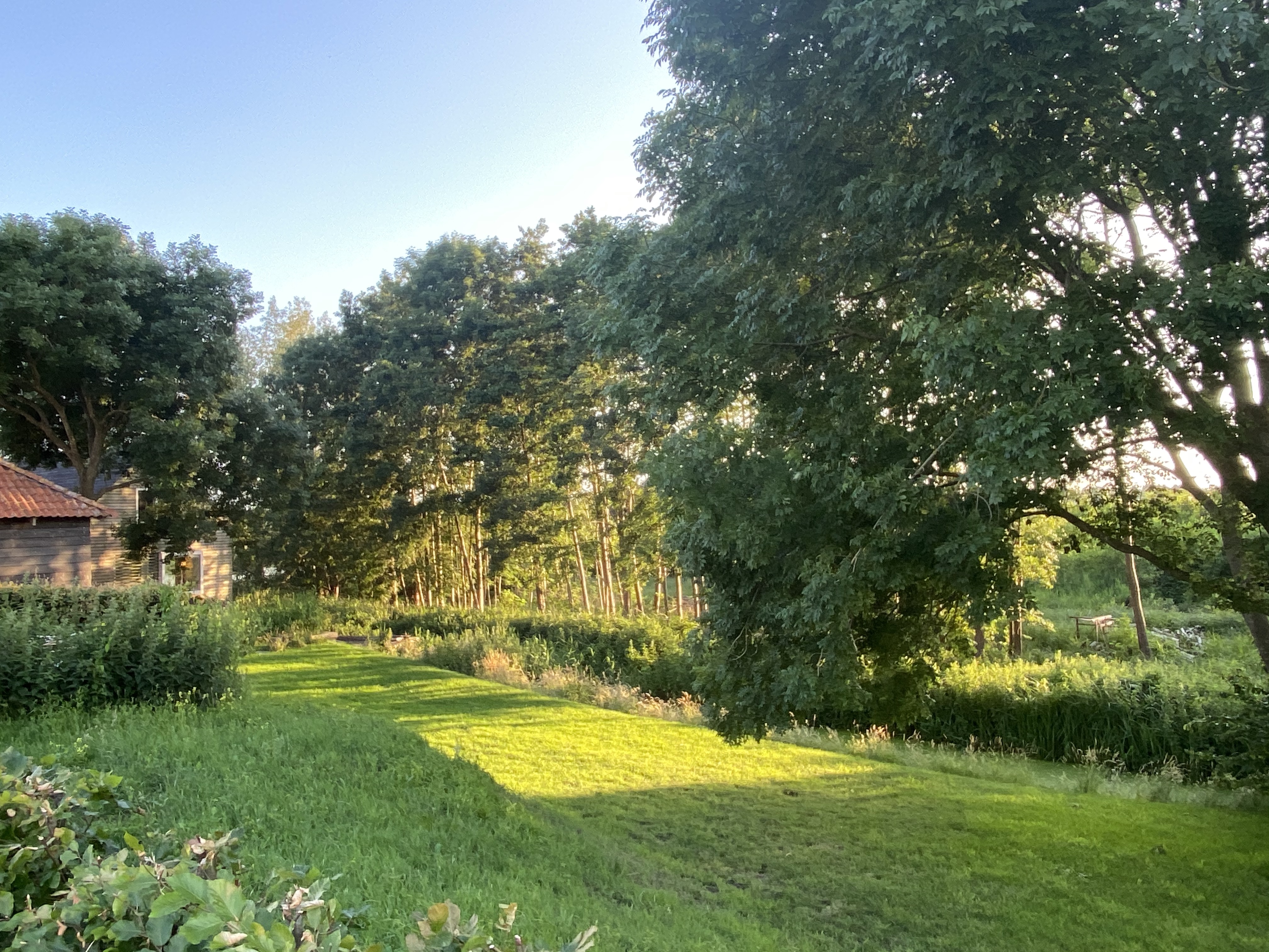 Gras gemaaid in Stadshagen