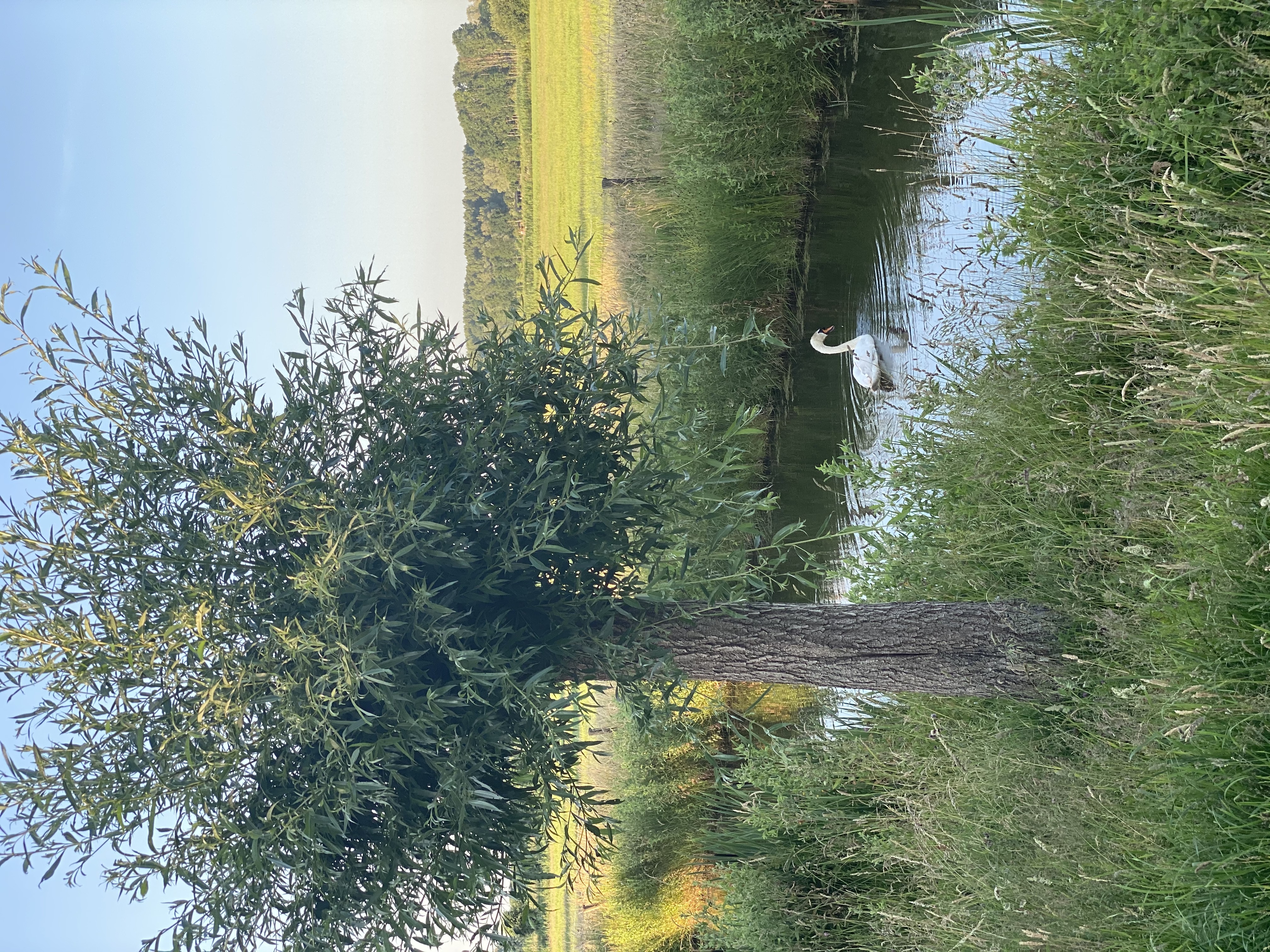 Op weg in Stadshagen