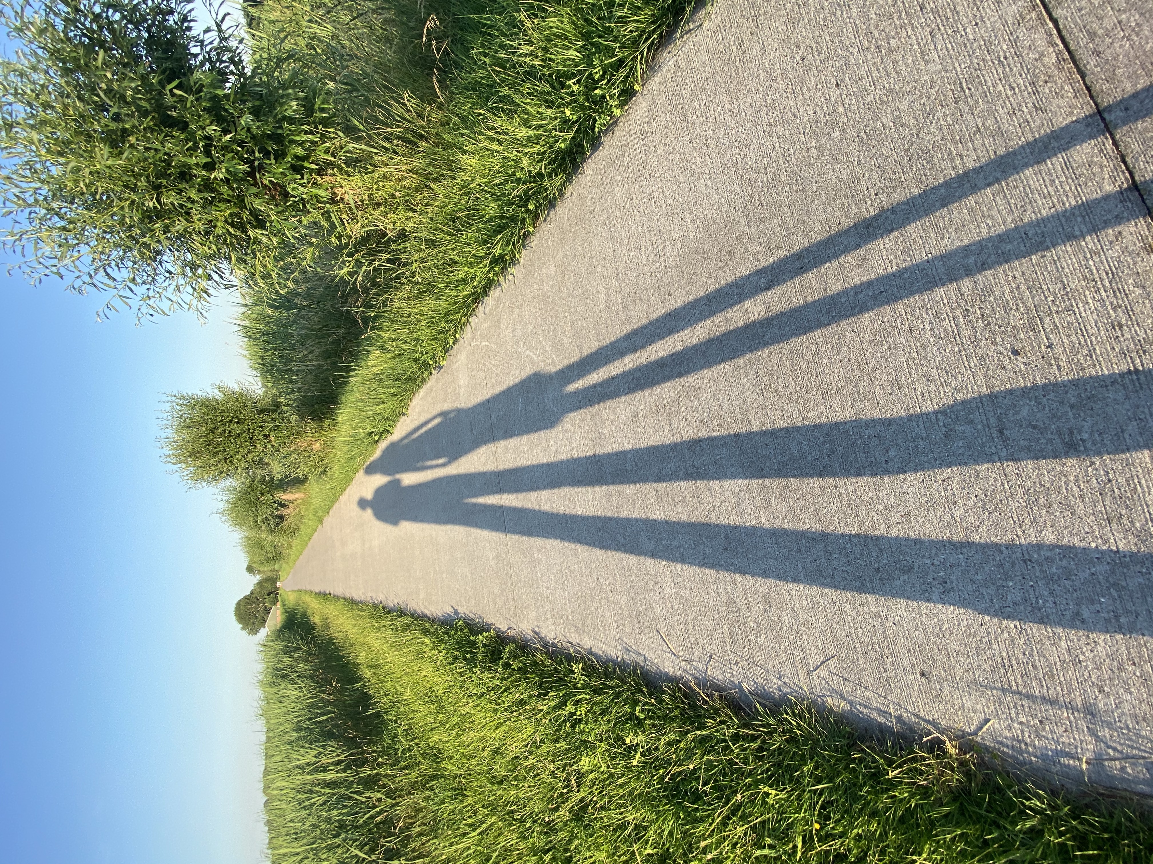 Lange benen in Stadshagen