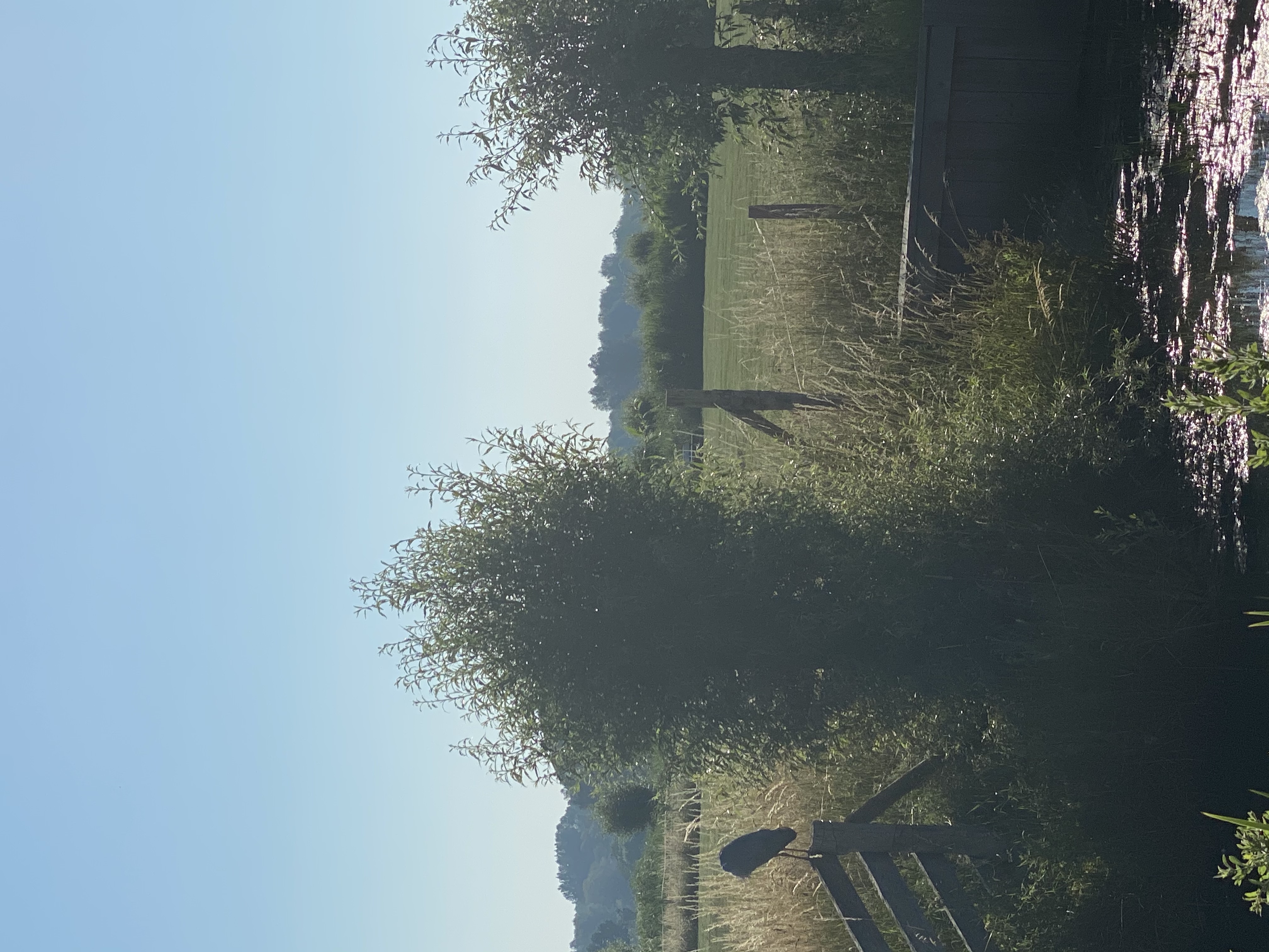 Zonder hoofd in Stadshagen