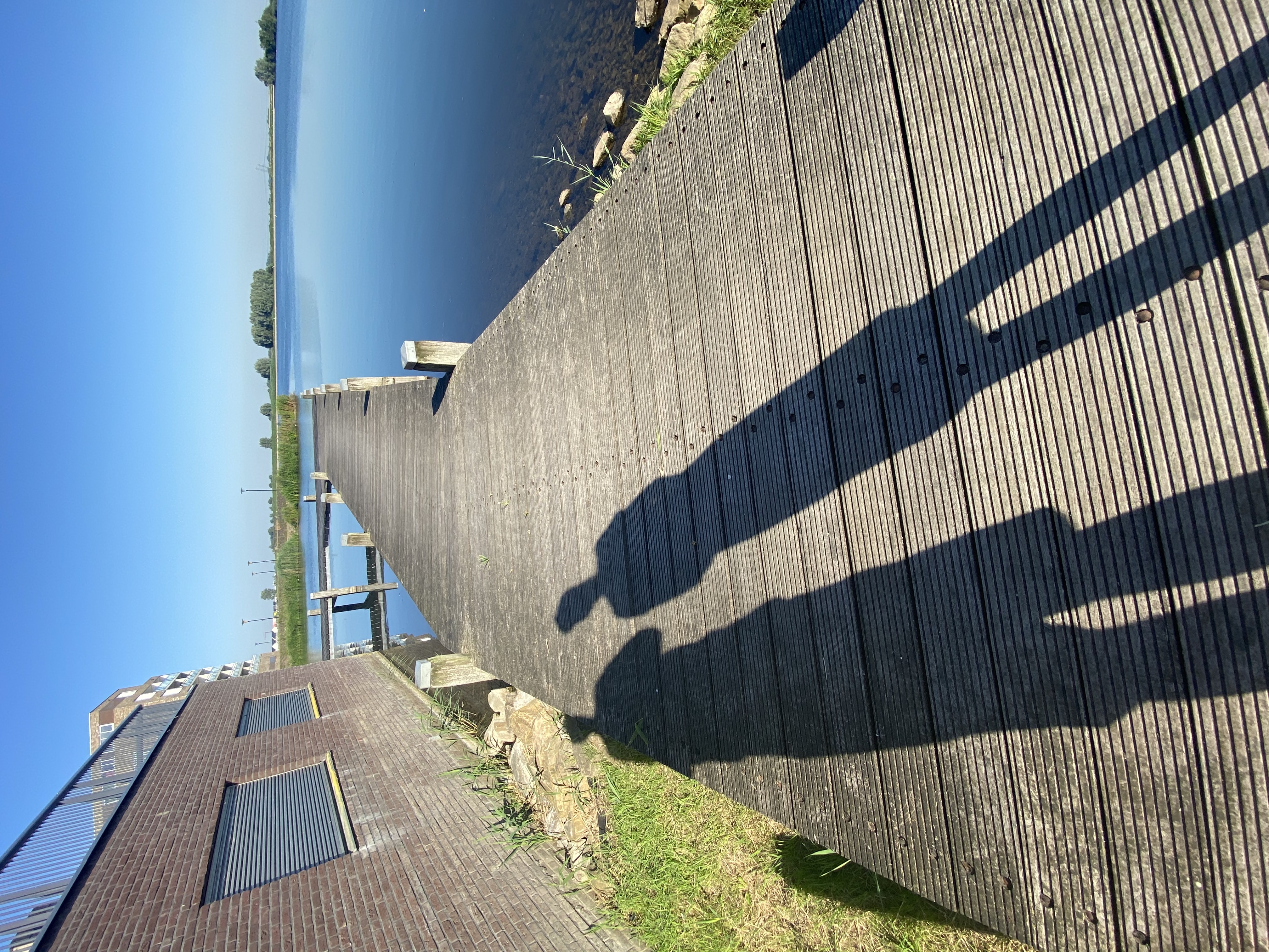 Met de zon in de rug in Stadshagen