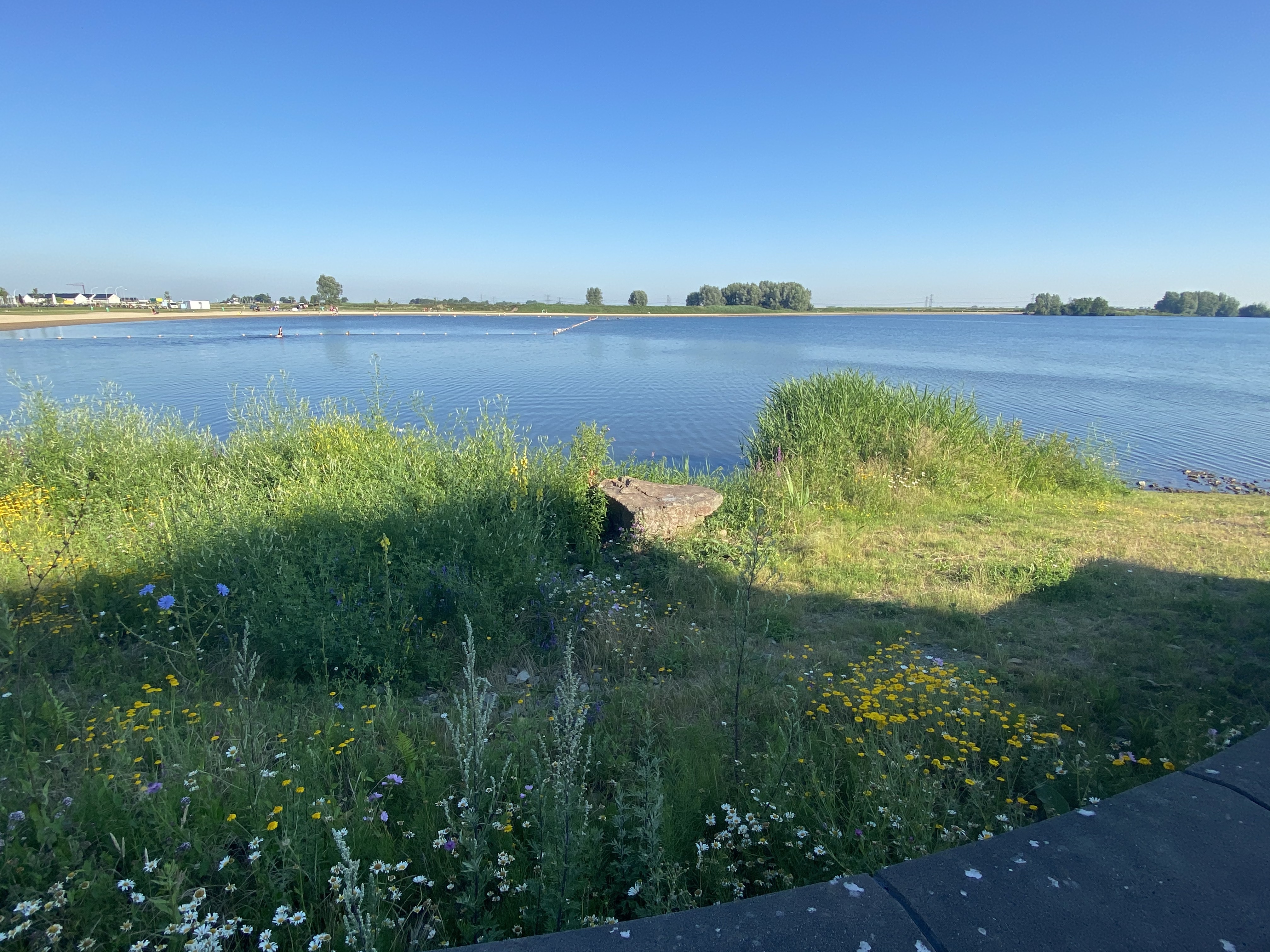 Licht en schaduw in Stadshagen