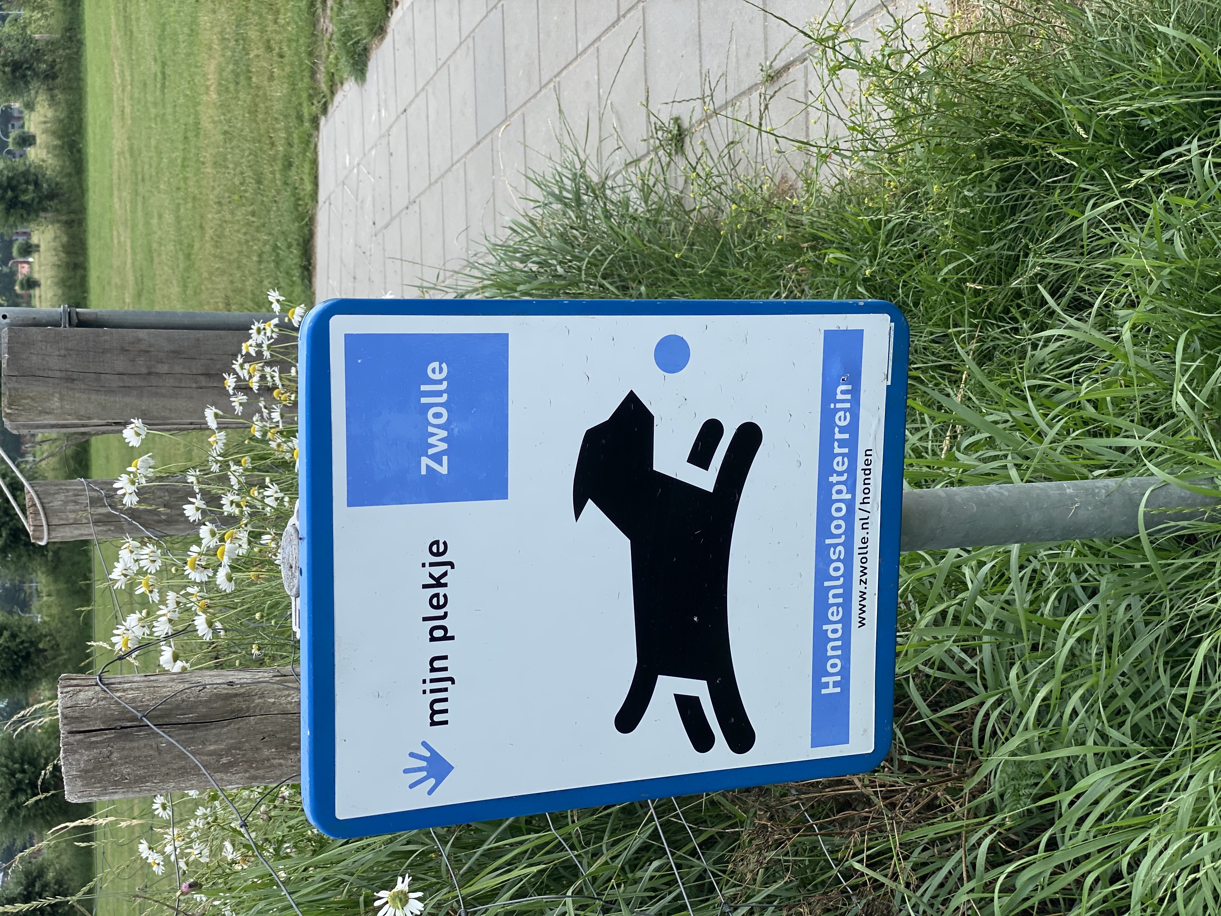 Mijn plekje in Stadshagen