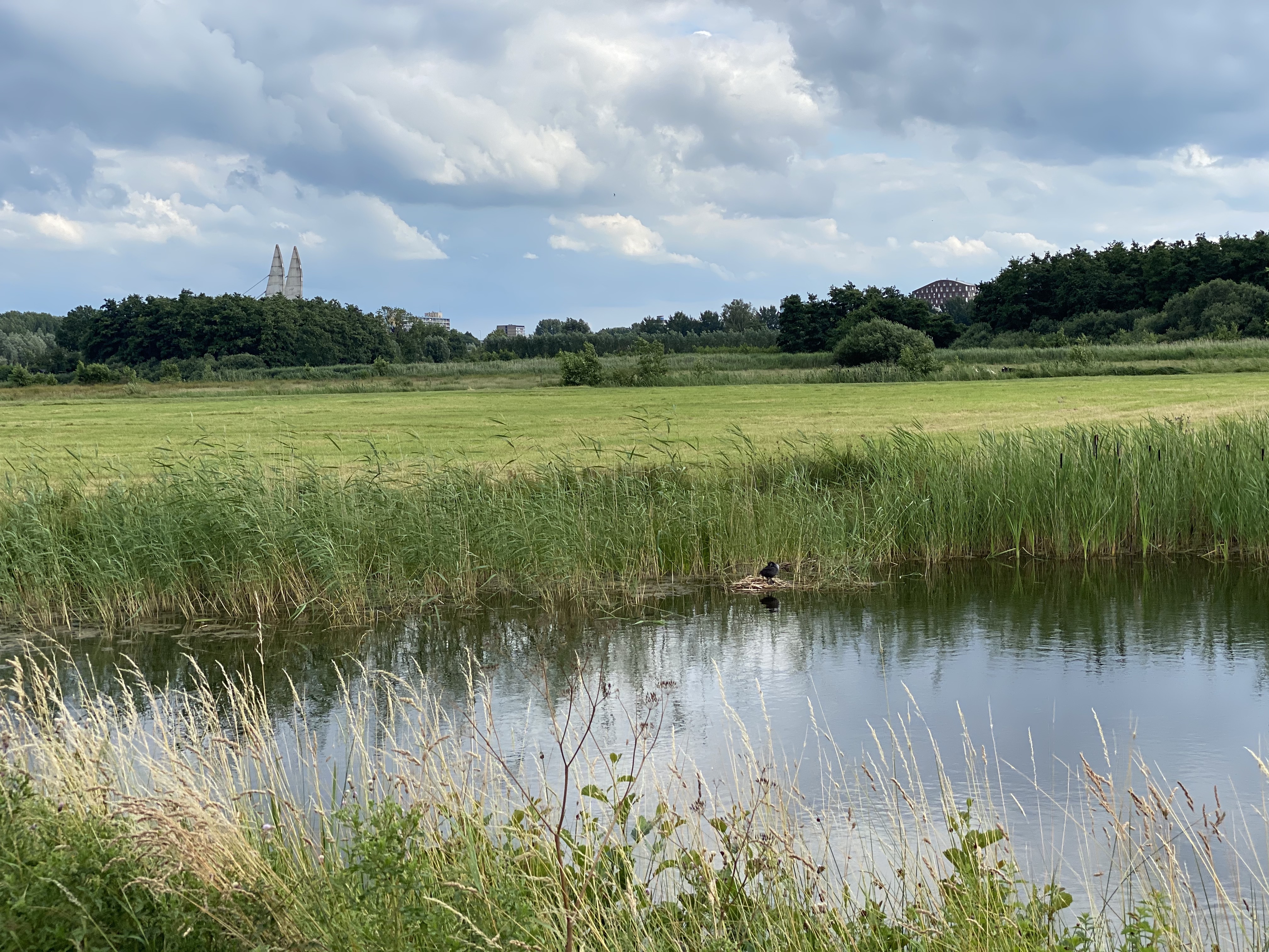 Aan het werk in Stadshagen