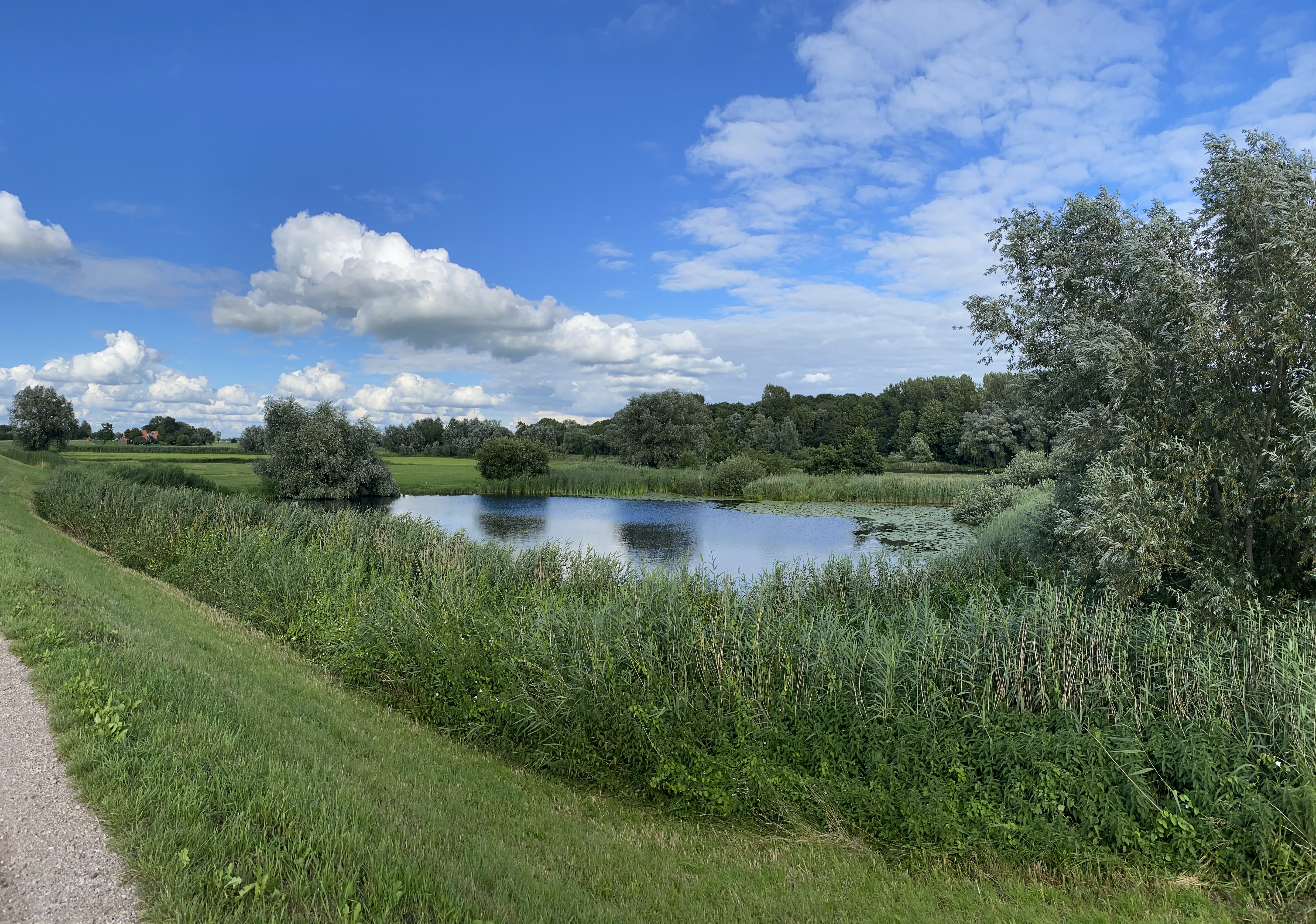 Zomaar langs de weg in Stadshagen