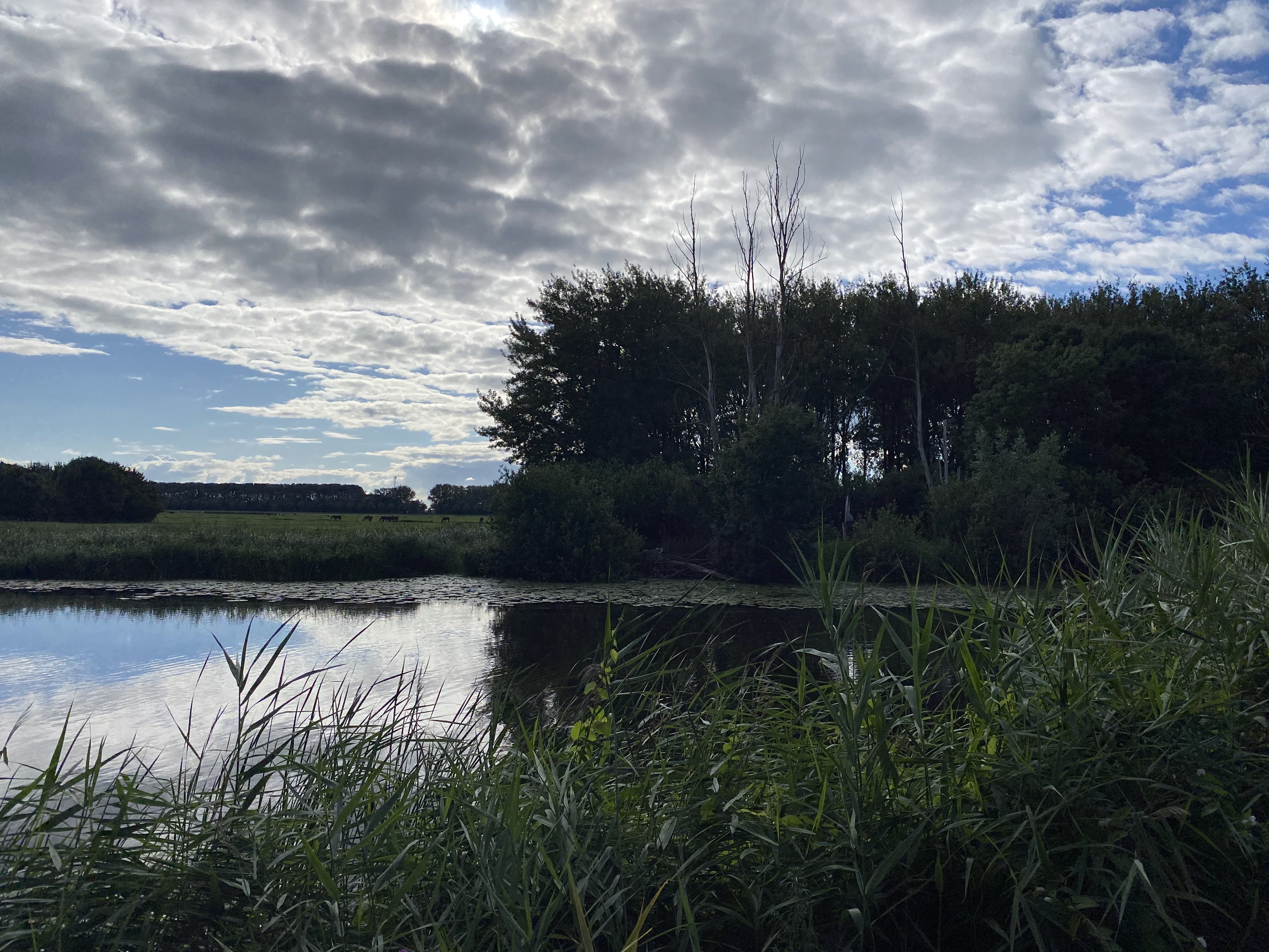 Licht en donker in Stadshagen