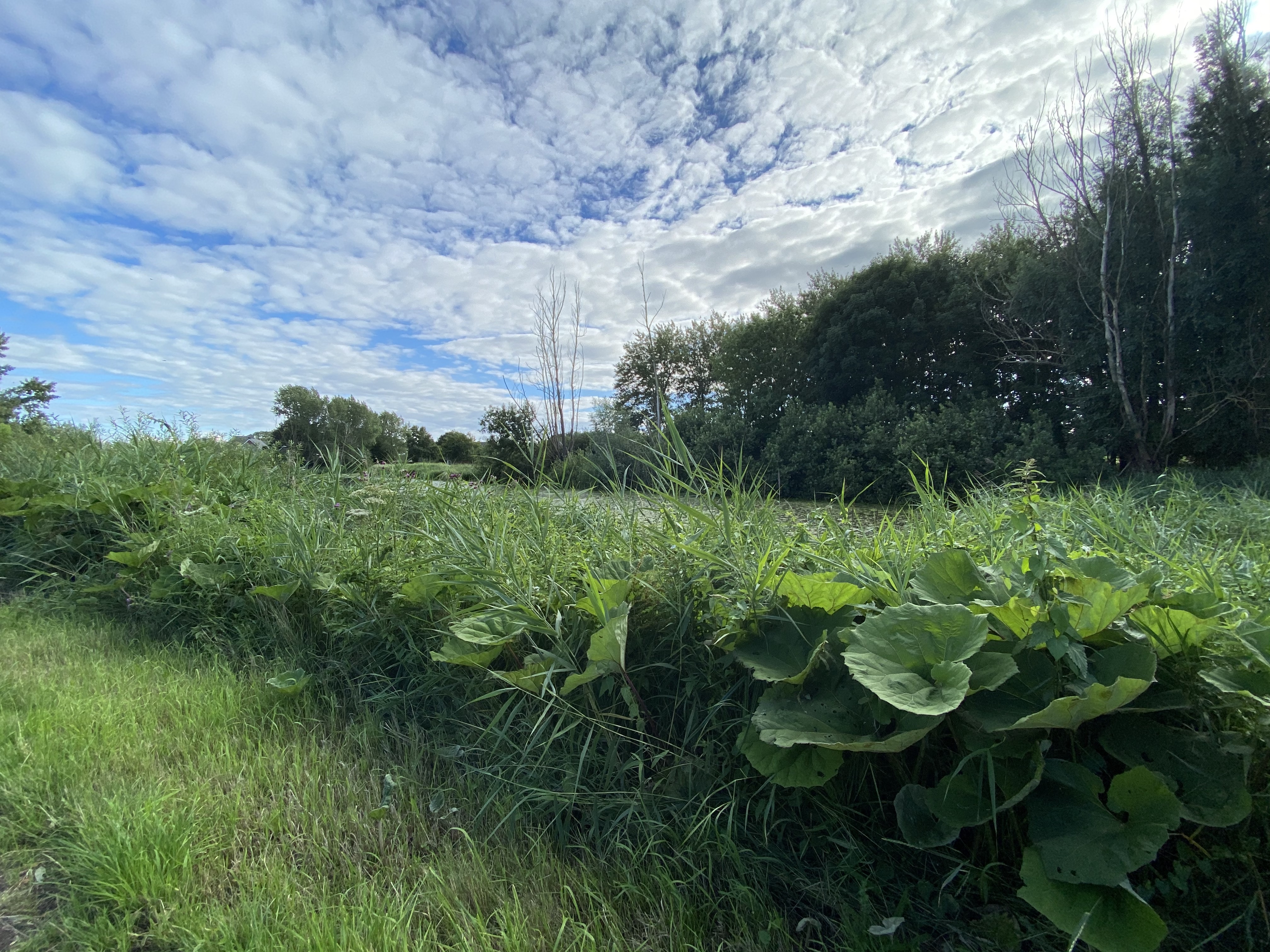 Watten in de lucht van Stadshagen