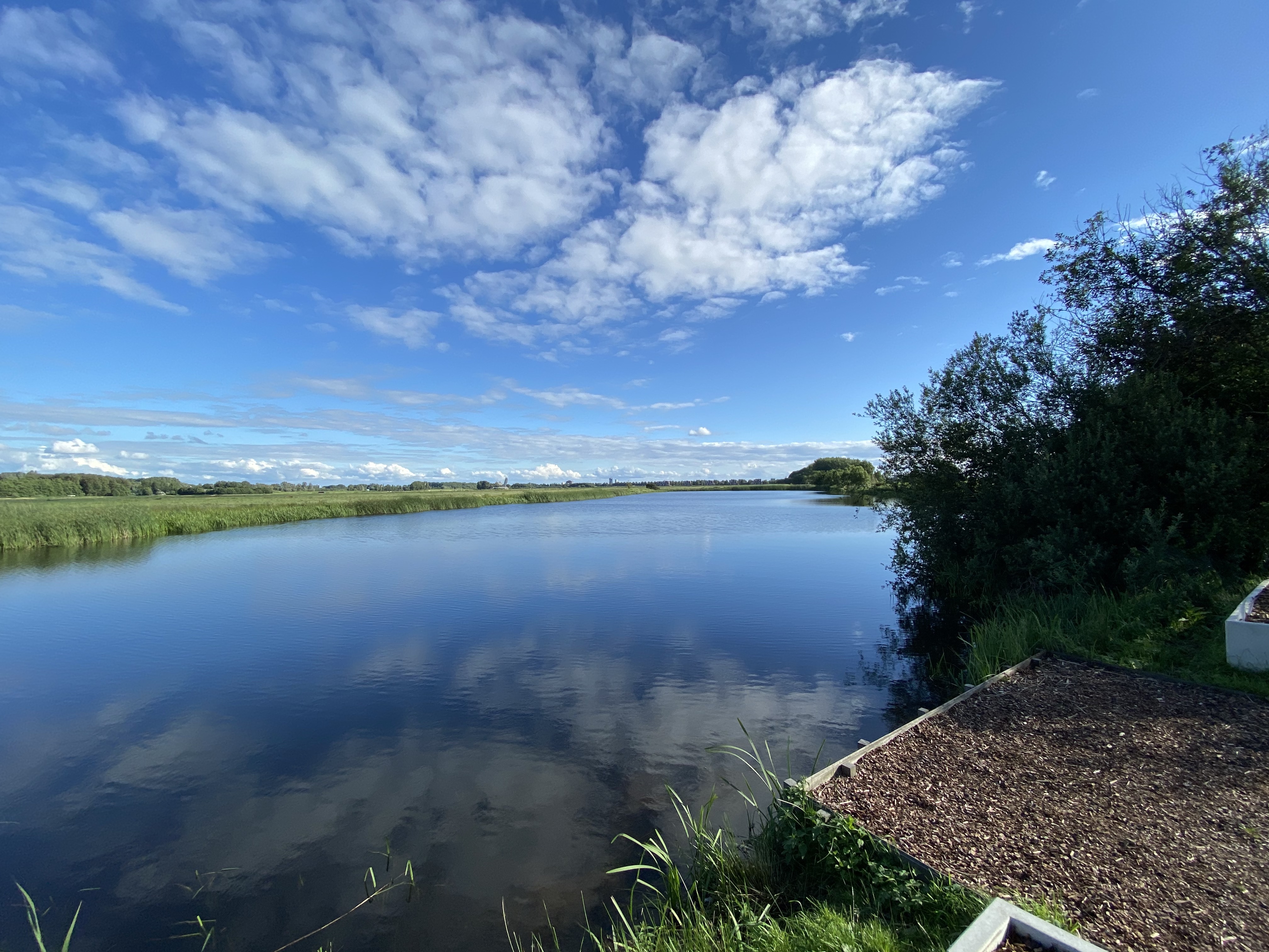 Hollands Glorie in Stadshagen