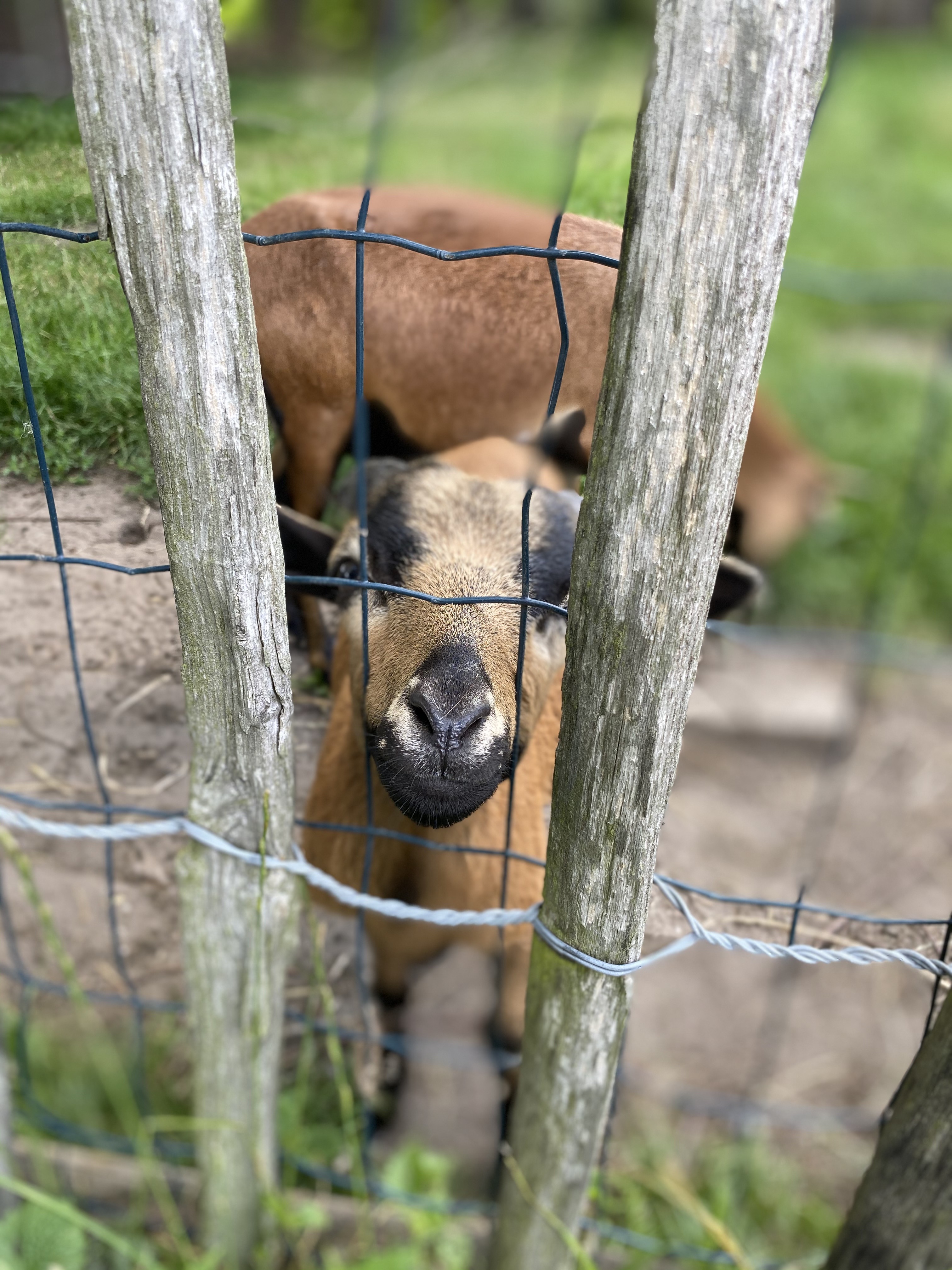 Dat wilde ik net zeggen