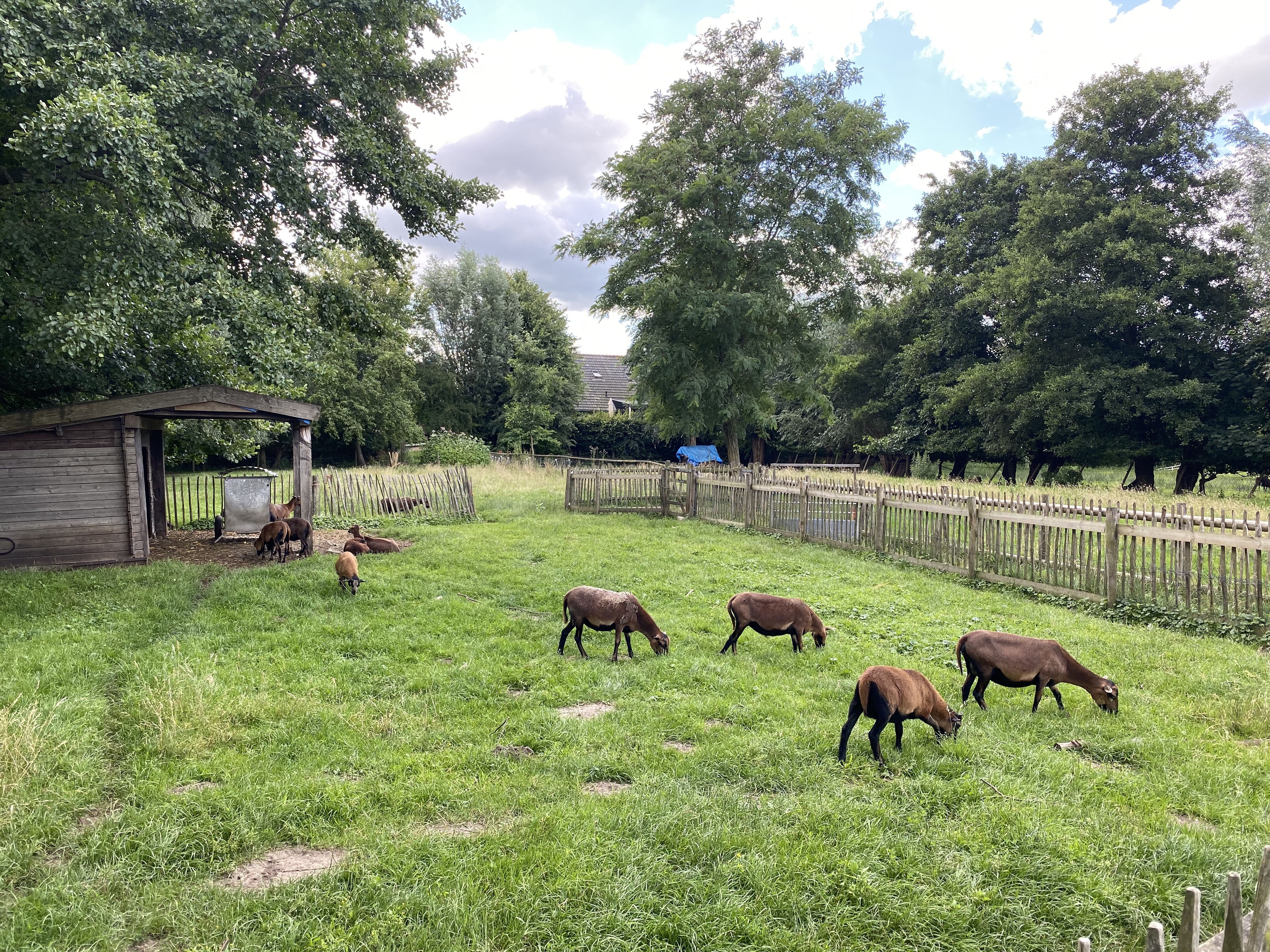 Allemaal dezelfde kant op