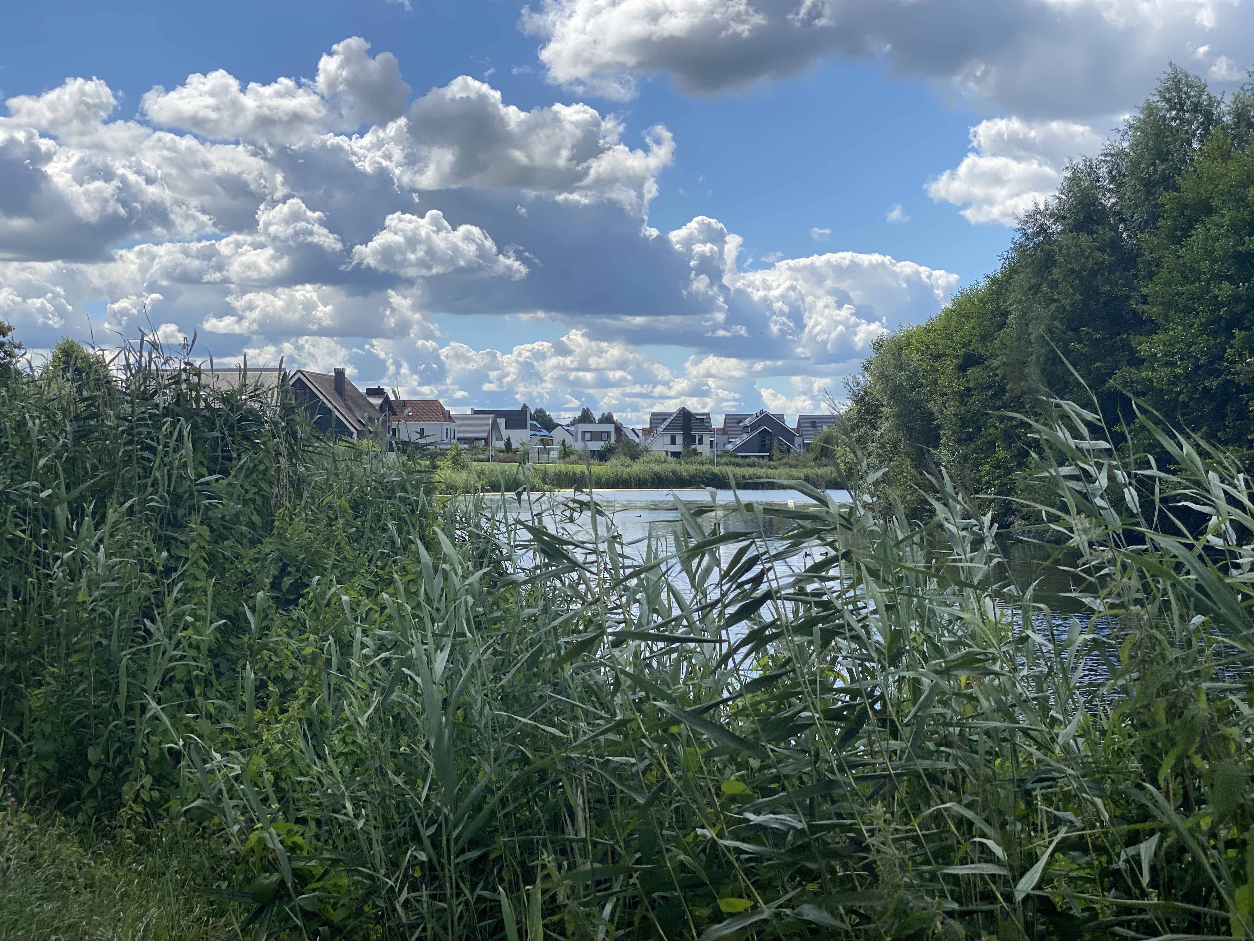 Chique buurt in Stadshagen