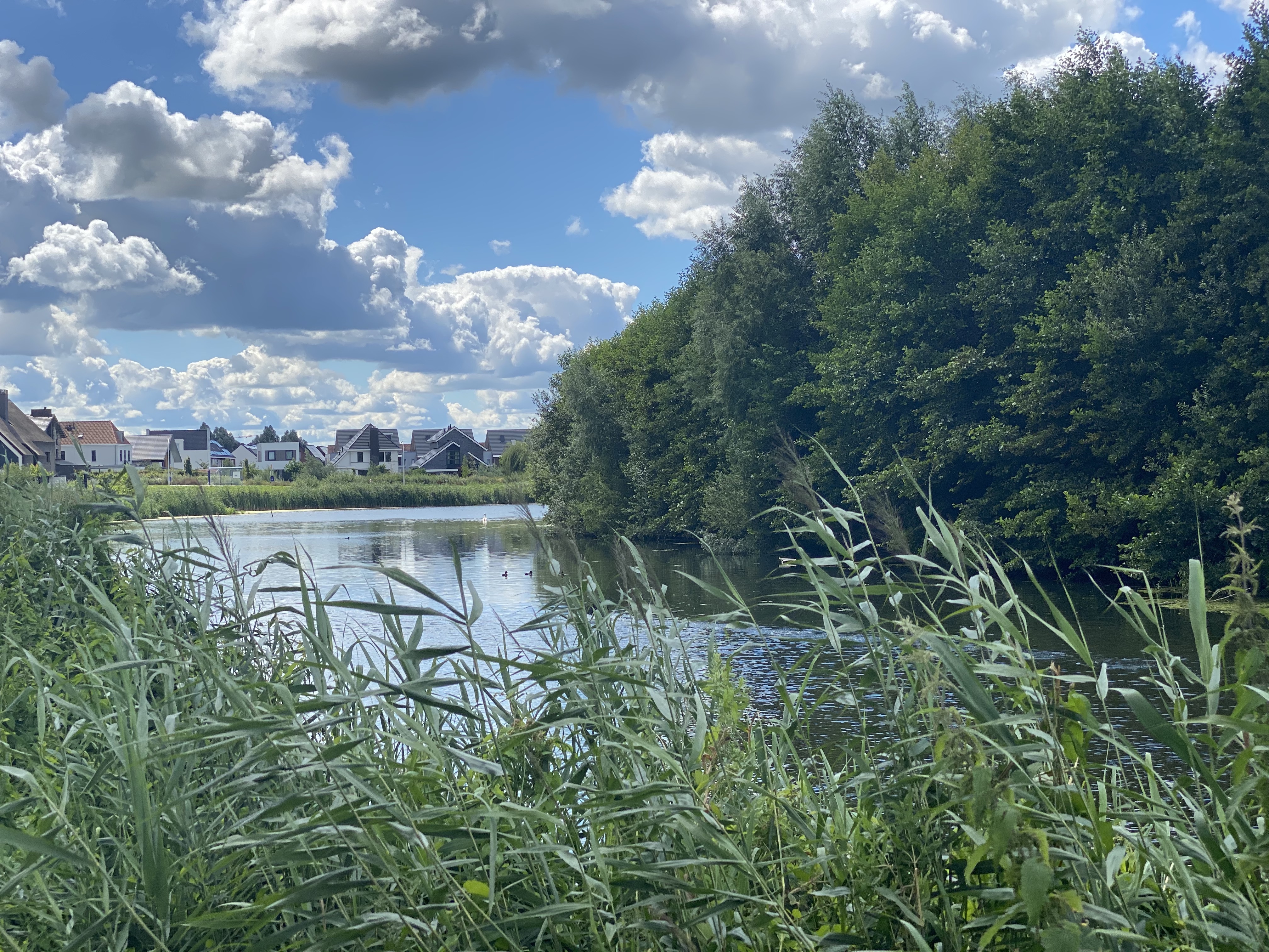 Chique buurt in Stadshagen