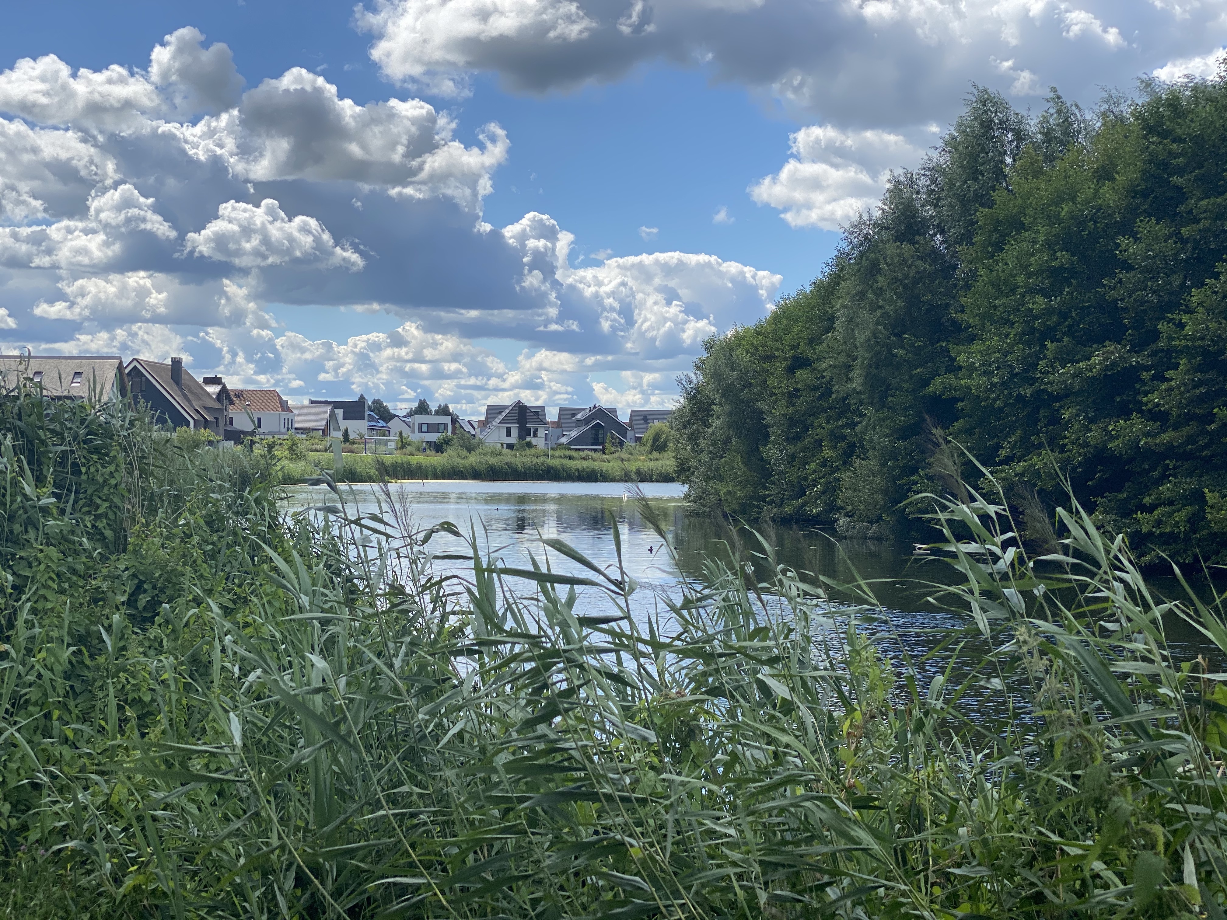 Chique buurt in Stadshagen