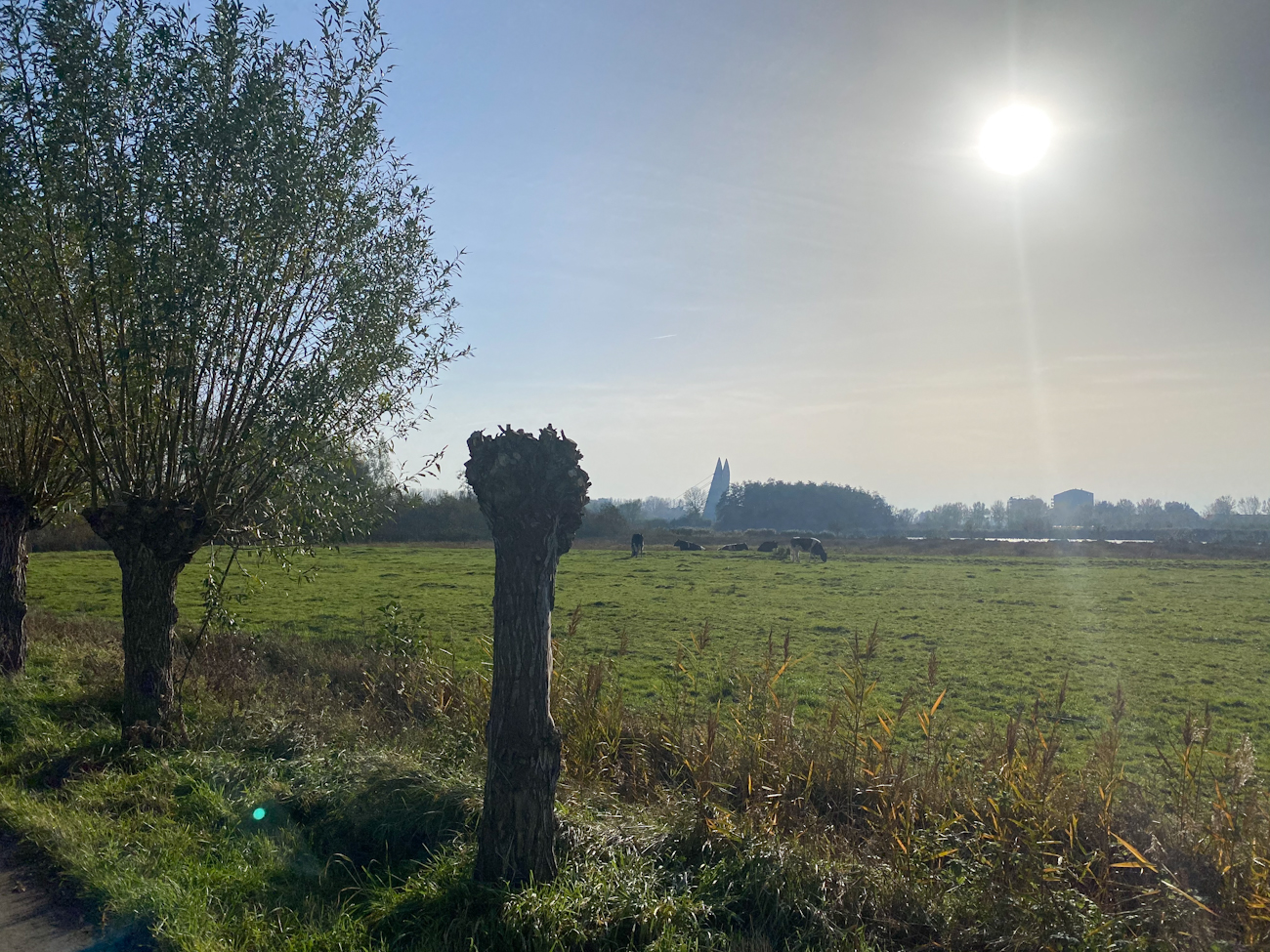 De zon schijnt over Stadshagen