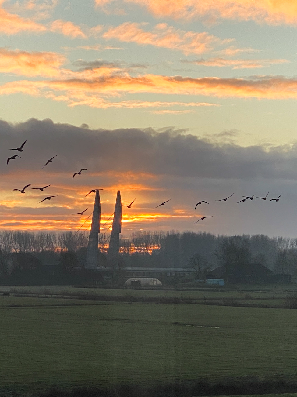 Mastenbroek bij zonsopgang