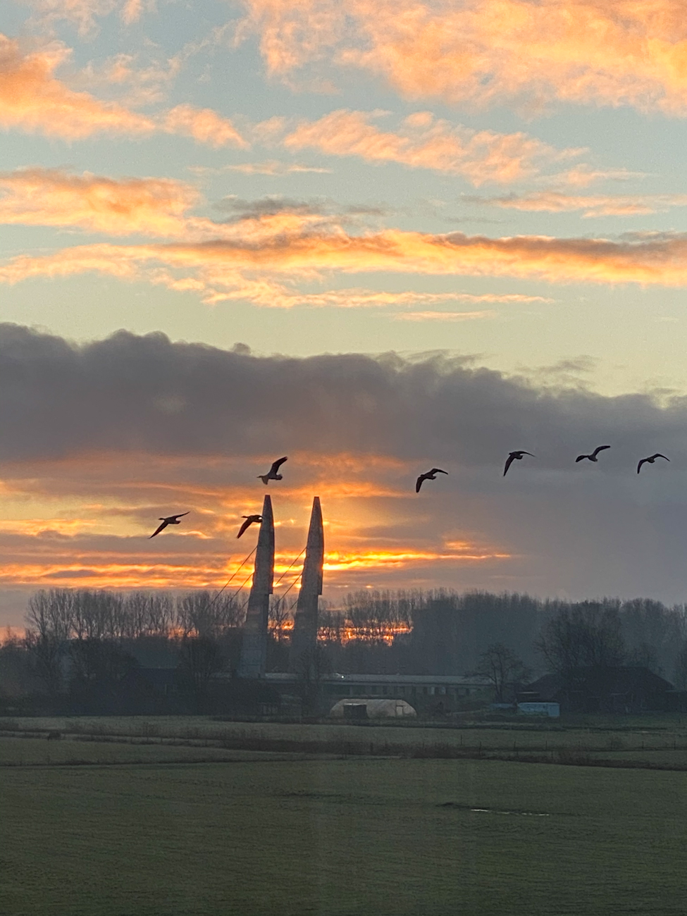 Mastenbroek bij zonsopgang 2