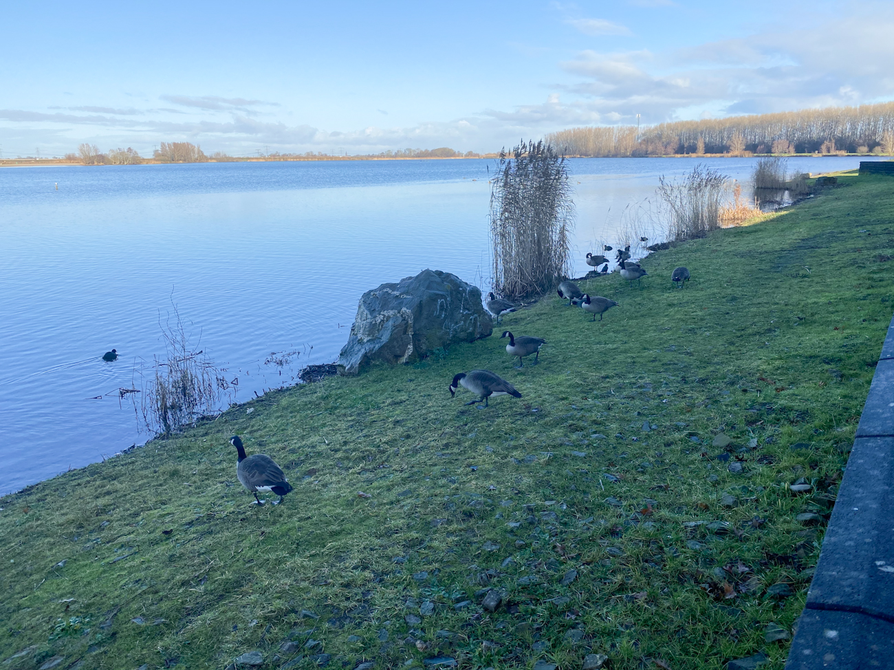 Aan de kant van het water