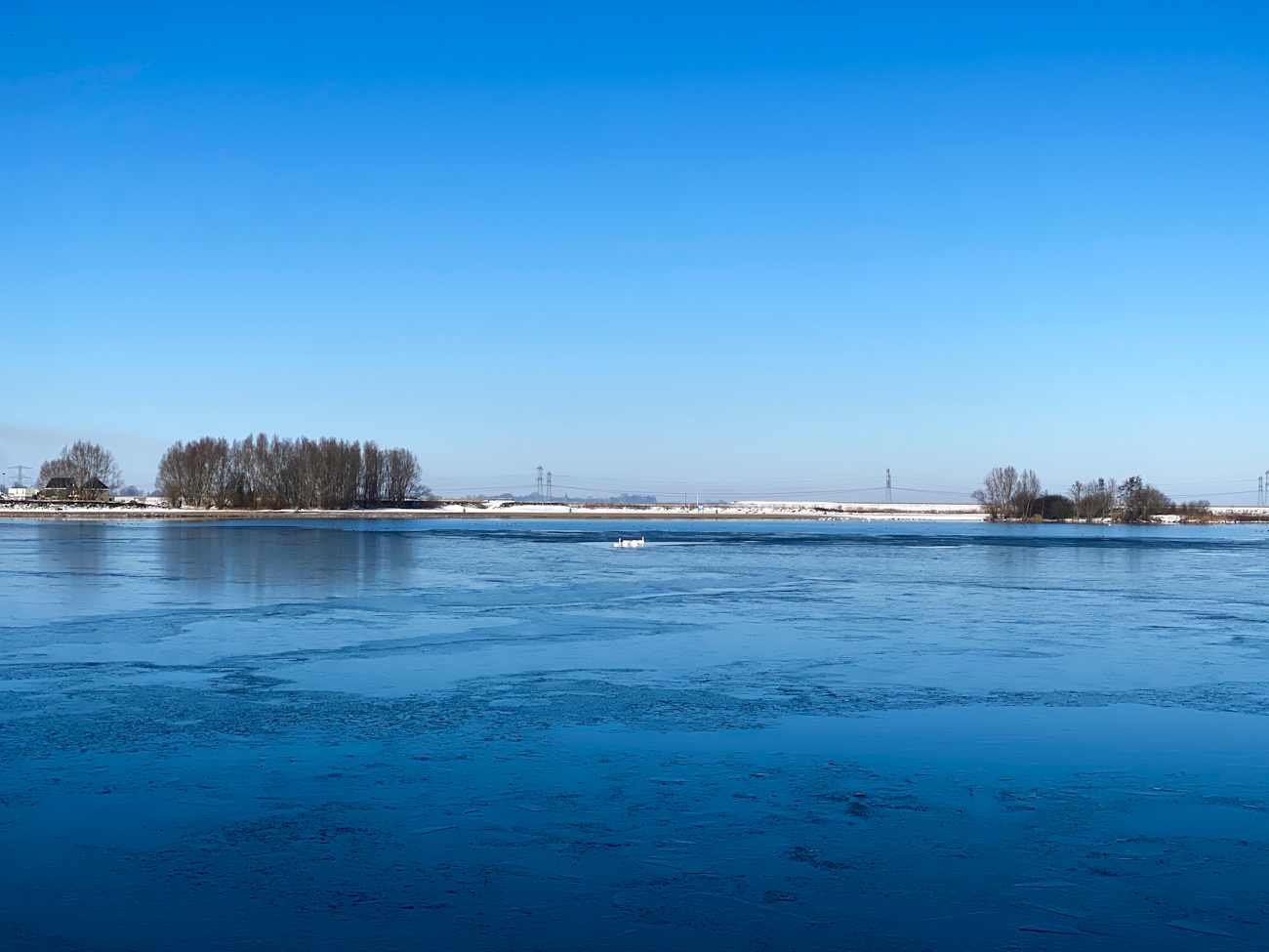 Milligerplas in de winter
