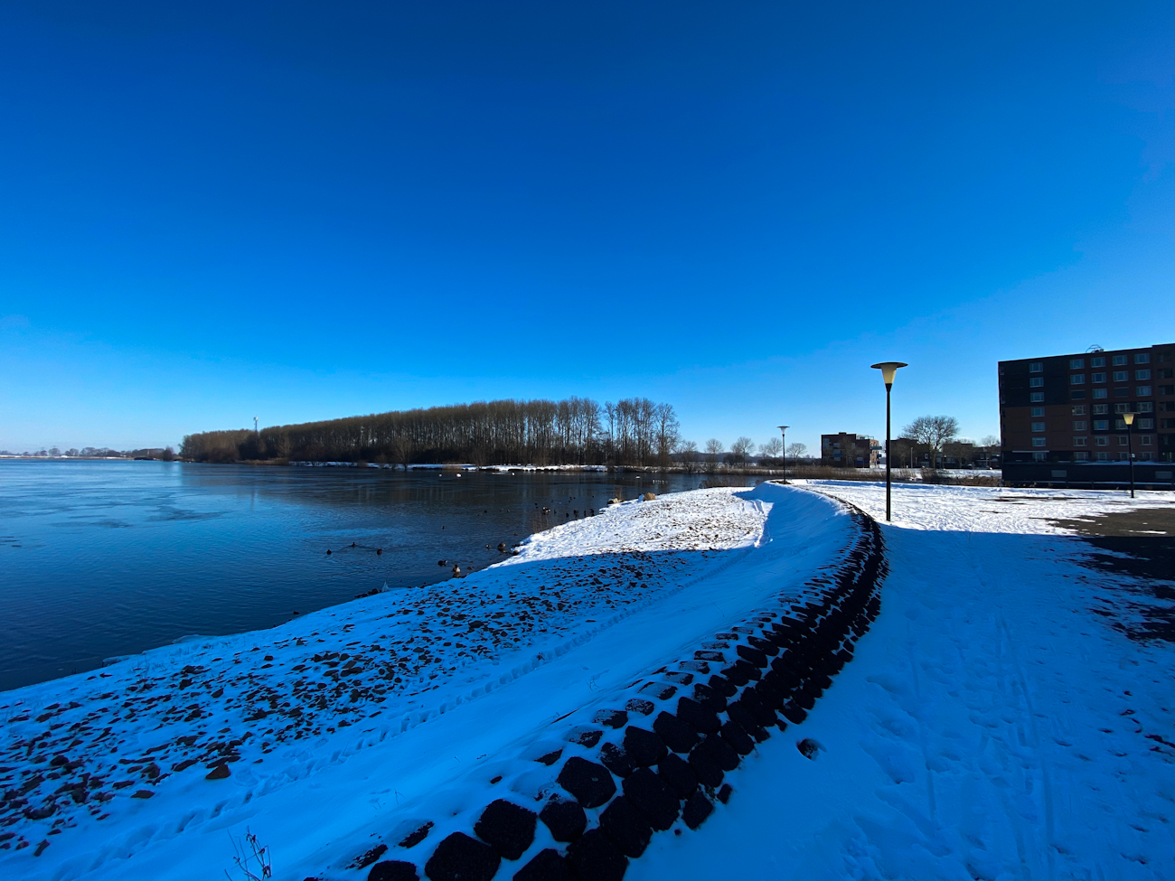 Milligerplas in de winter